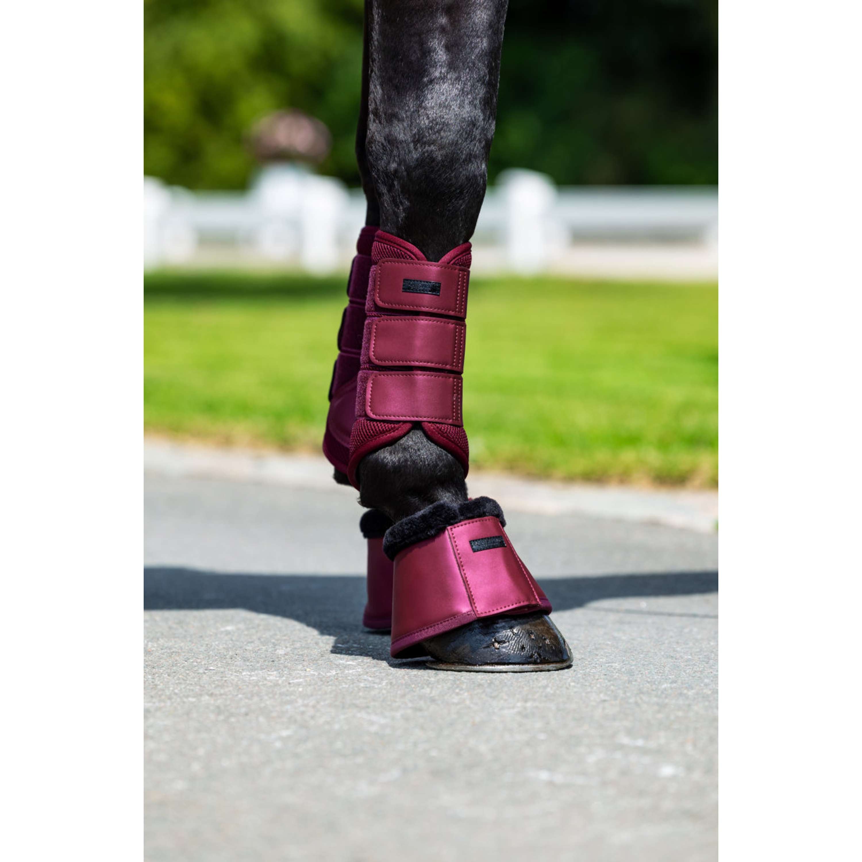 Equestrian Stockholm Kaloszki Merlot