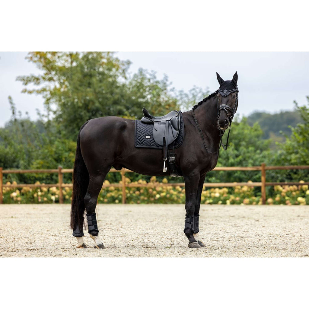 Equestrian Stockholm Potnik Modern Ujeżdżenie Czarny