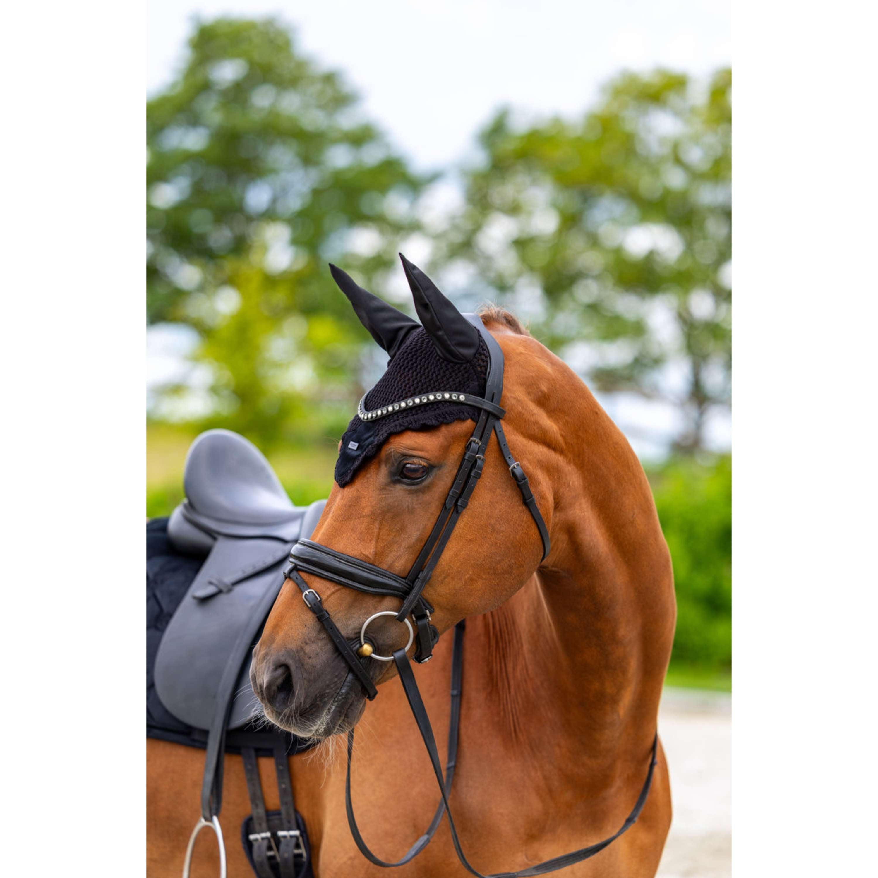 Equestrian Stockholm Siateczka Na Uszy Velvet Czarny