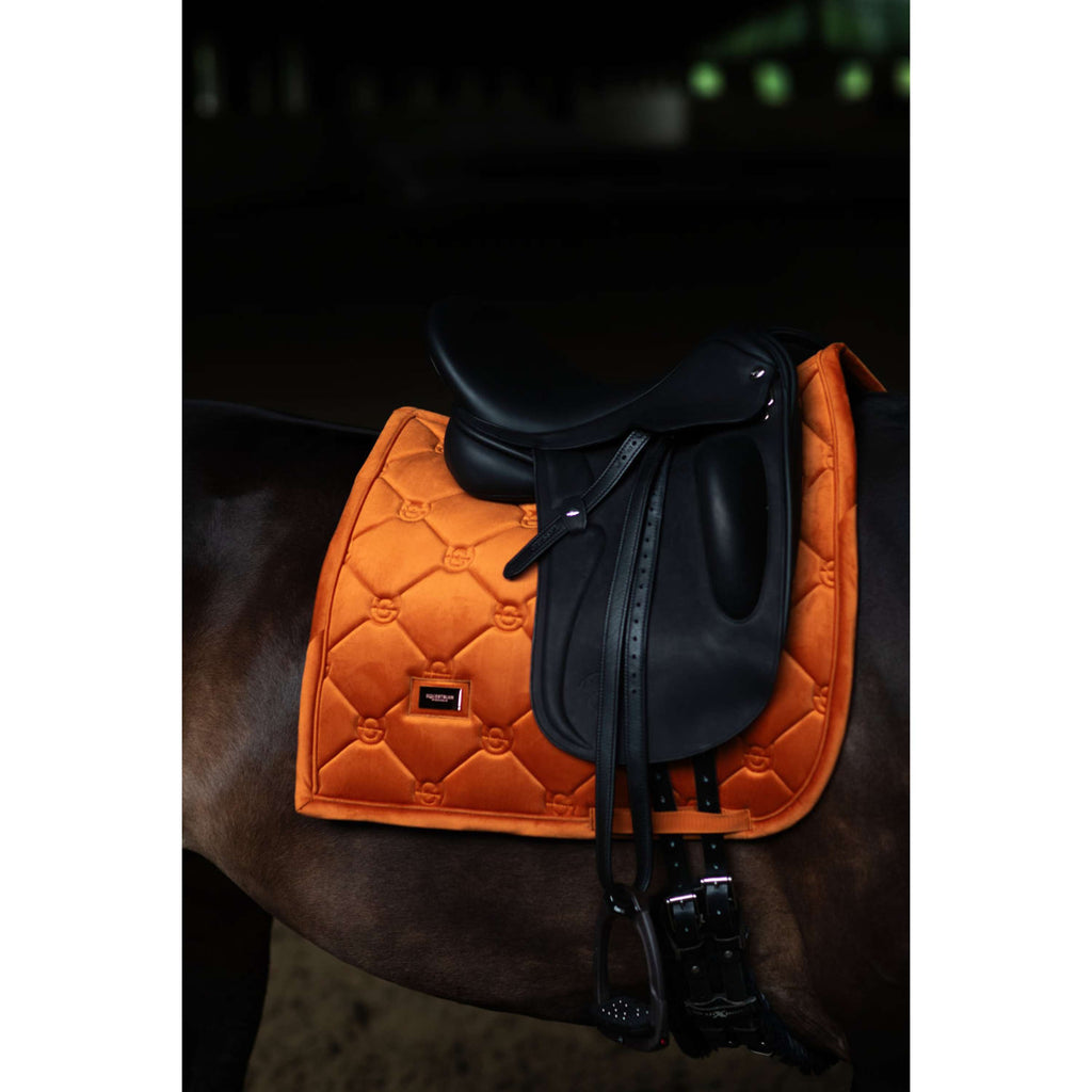 Equestrian Stockholm Czakrak Aksamitny Ujeżdżeniowy Chestnut
