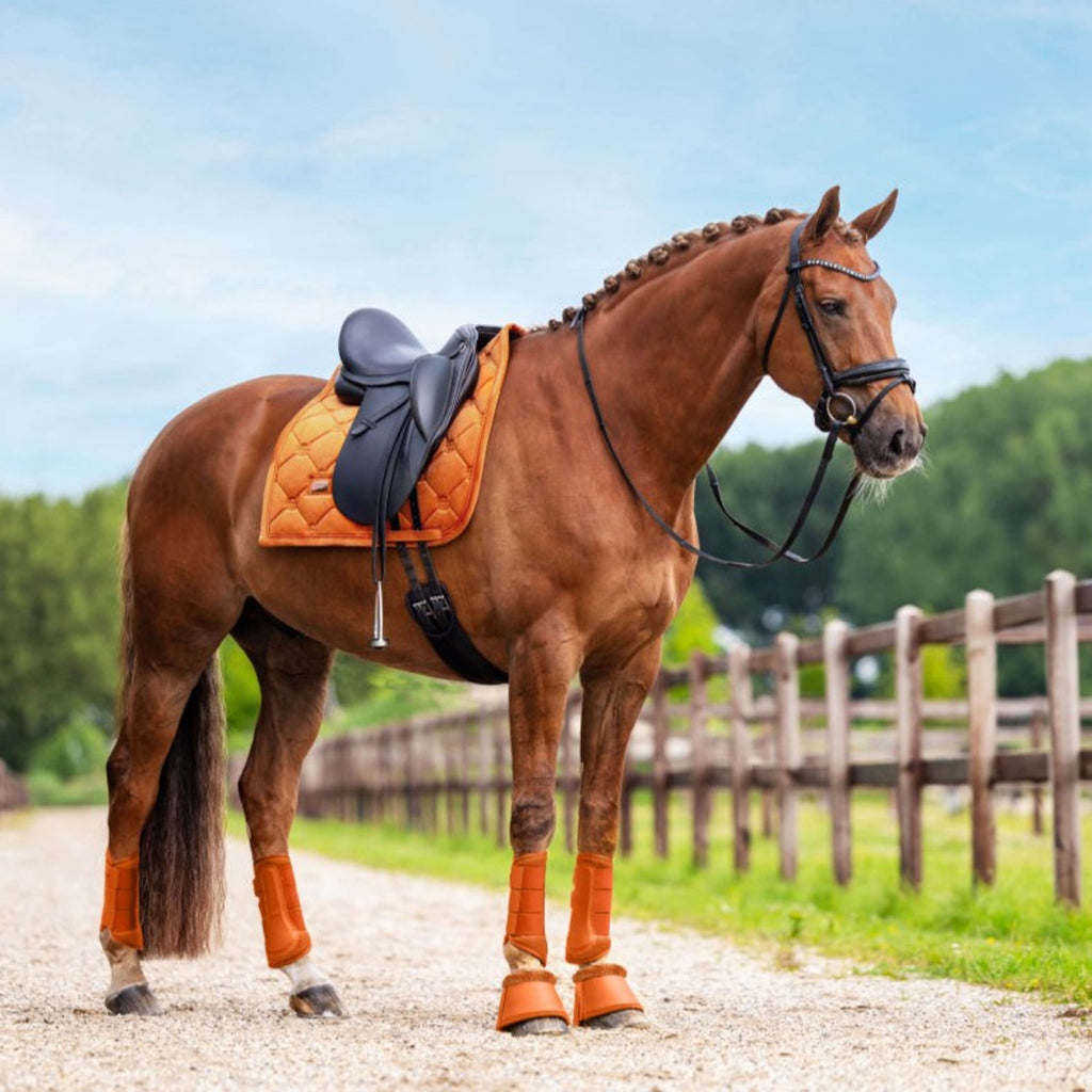 Equestrian Stockholm Czakrak Aksamitny Ujeżdżeniowy Chestnut