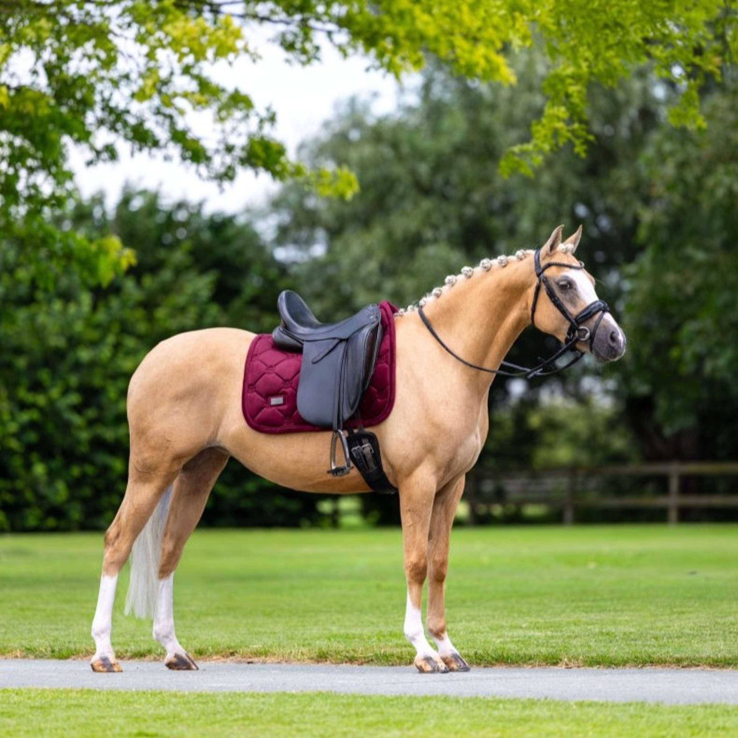 Equestrian Stockholm Potnik Aksamit Ujeżdżenie Merlot