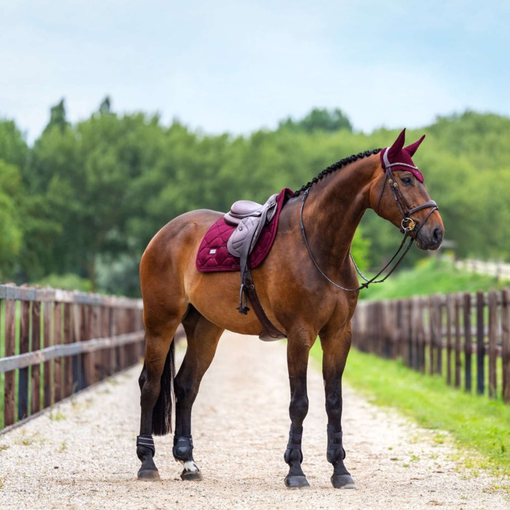Equestrian Stockholm Czaprak Aksamit Skoki Merlot