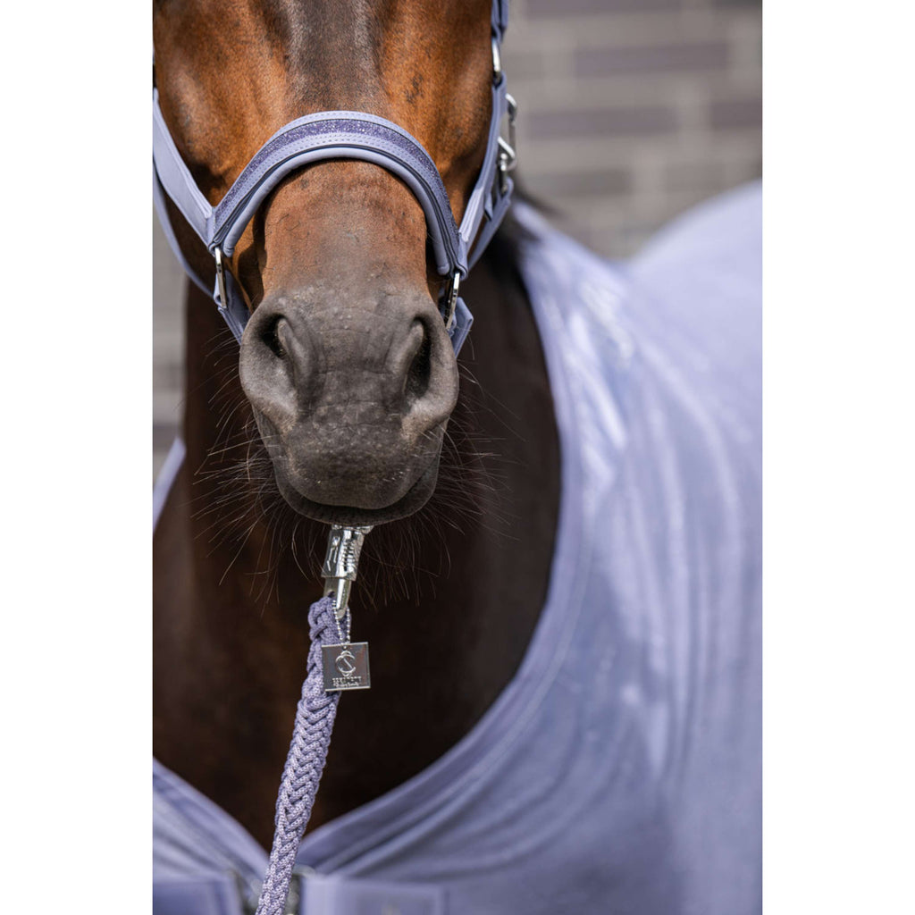 Kantar Eskadron Classic Sports Softshell Jewel orchideowy