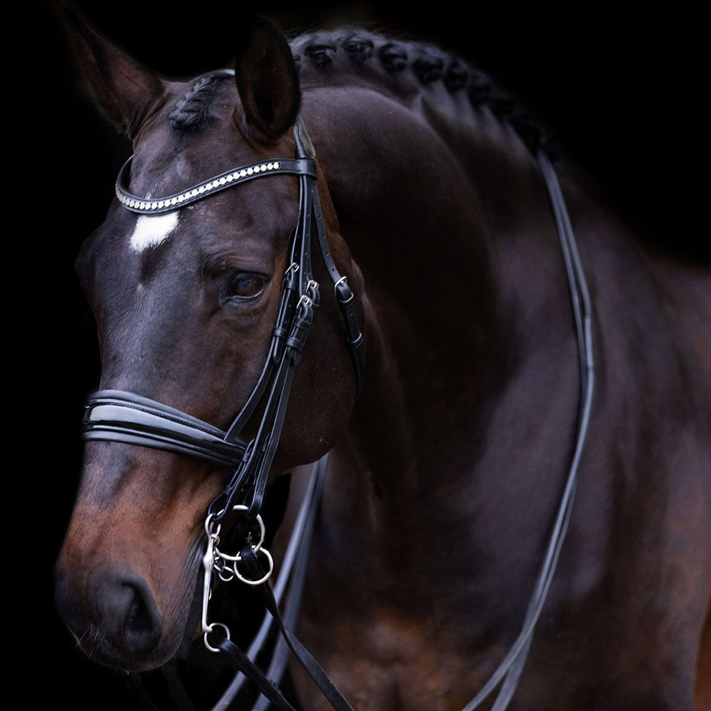 Imperial Riding Ogłowie podwójne IRHFria czarne