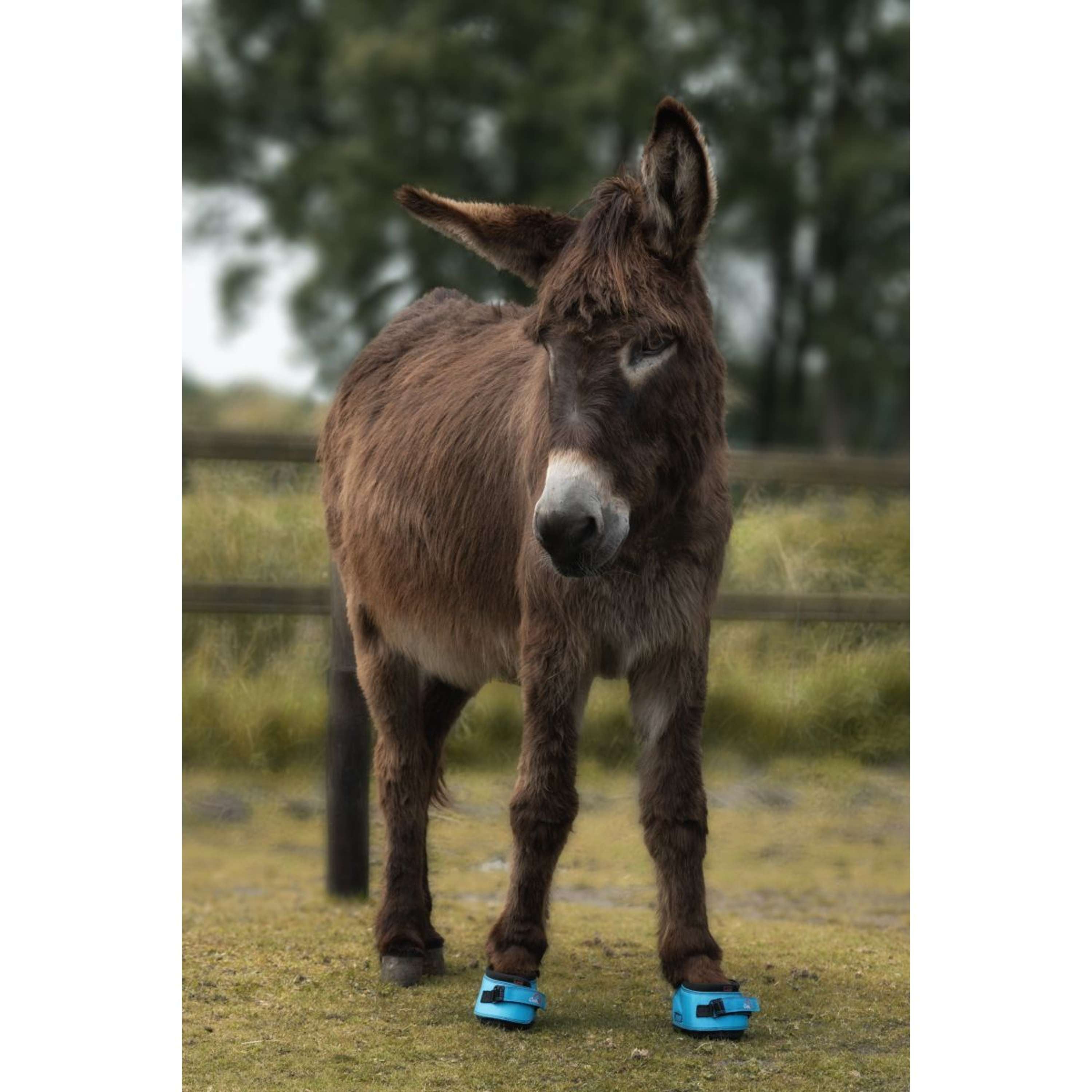 F.R.A. Cavallo But Do Kopyt Dla Osła/Long Ear Boot Turquoise
