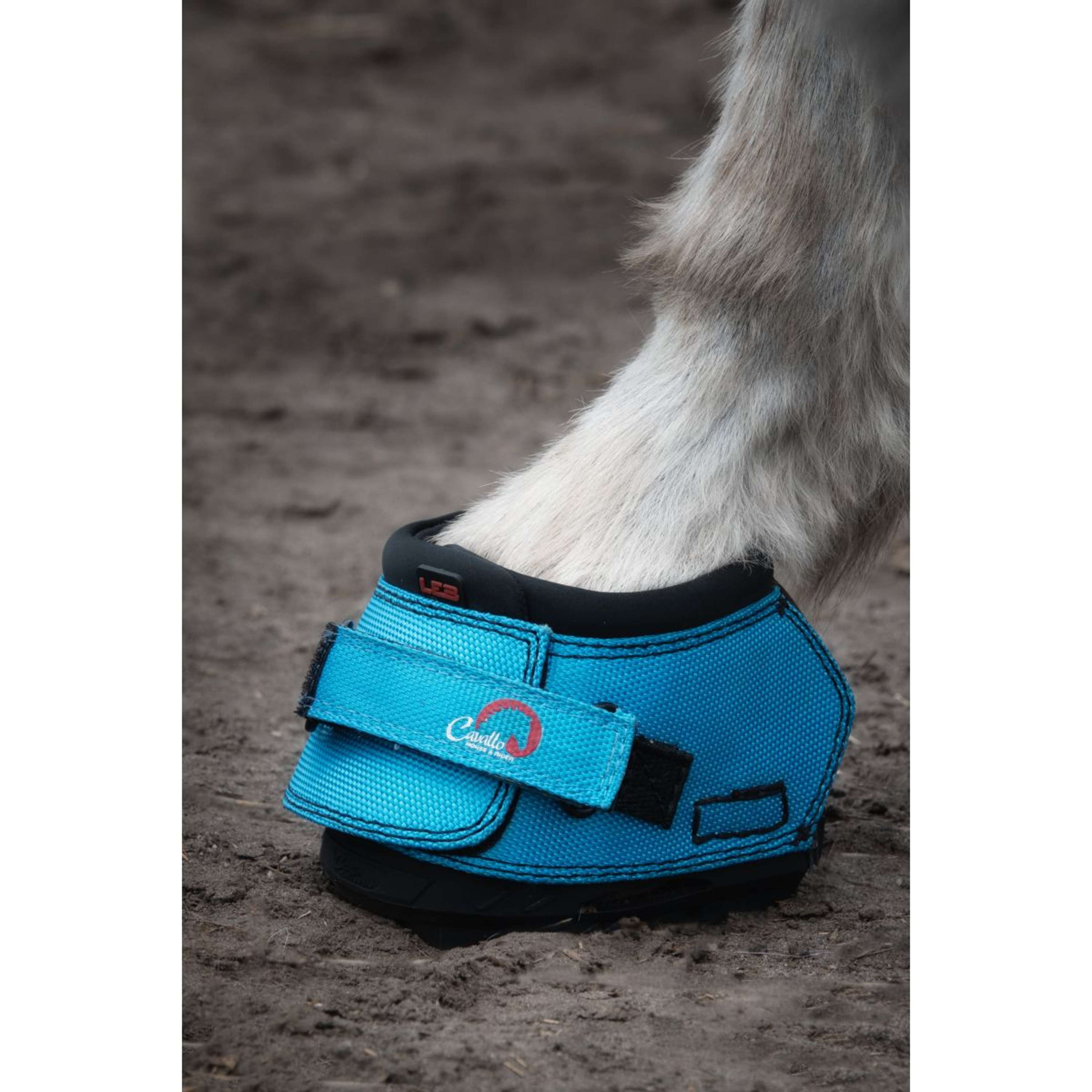 F.R.A. Cavallo But Do Kopyt Dla Osła/Long Ear Boot Turquoise