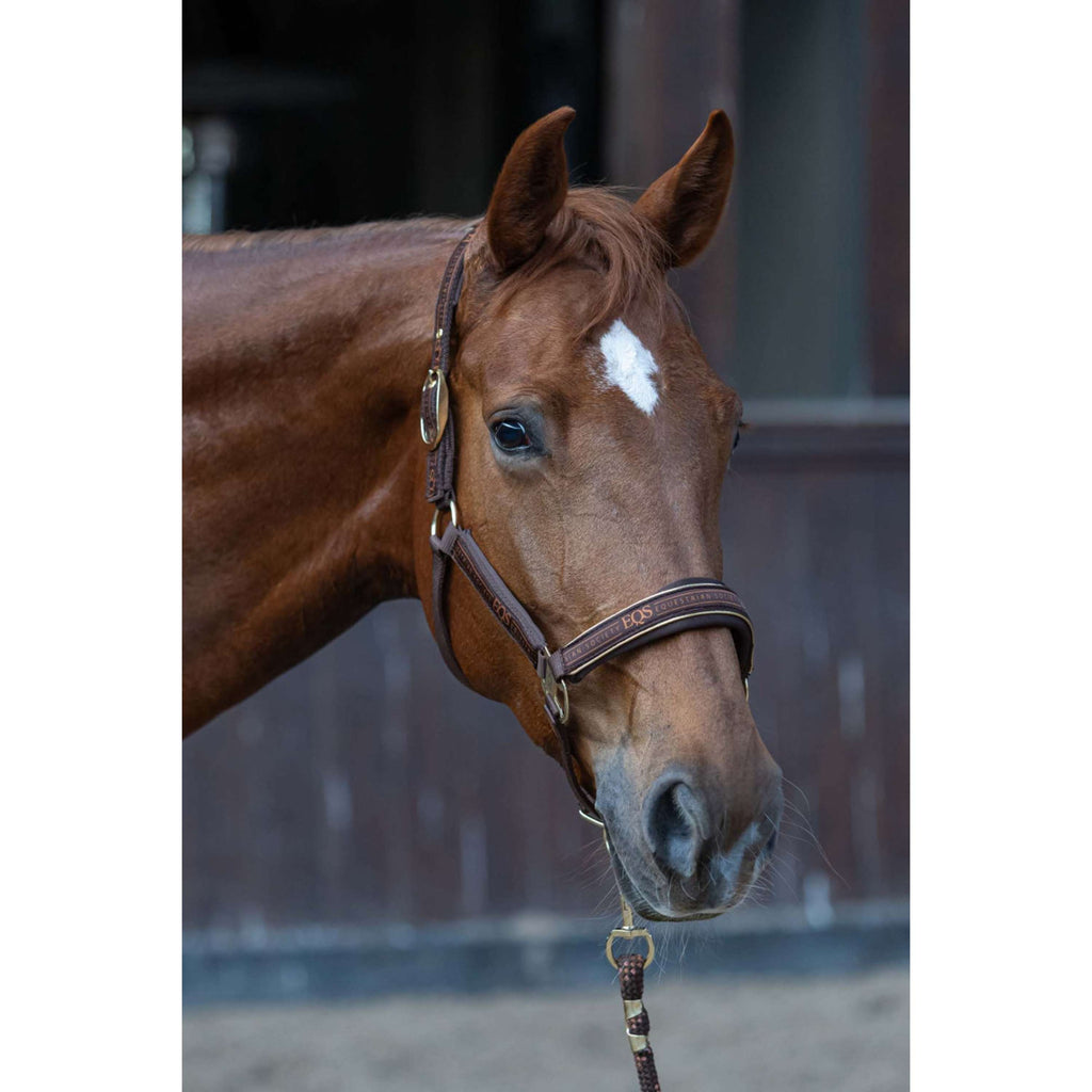 Harry's Horse Zestaw Kantara EQS Bracken