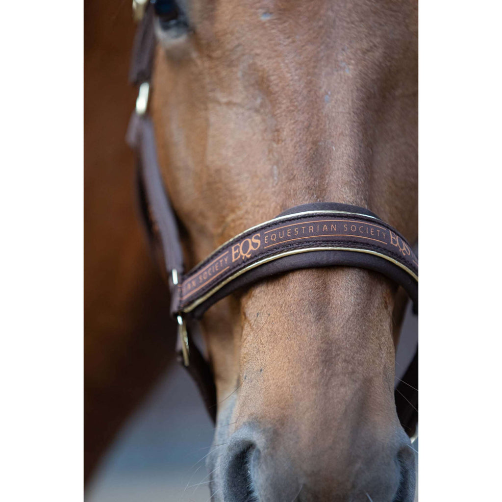 Harry's Horse Zestaw Kantara EQS Bracken
