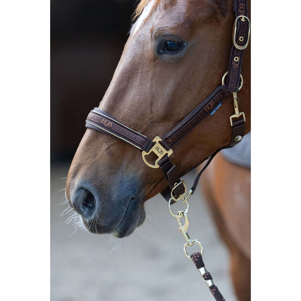 Harry's Horse Zestaw Kantara EQS Bracken