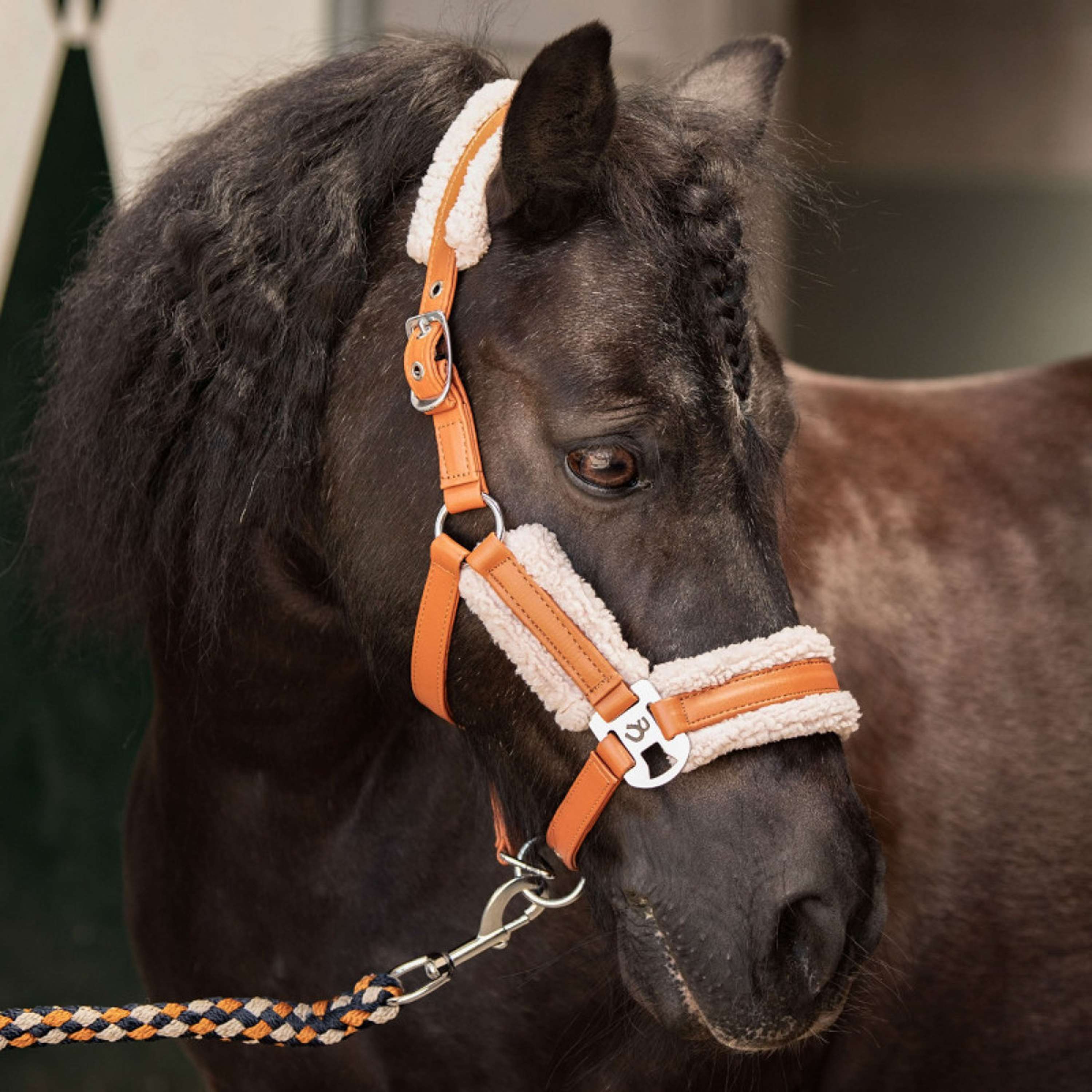 Harry's Horse Zestaw Kantara STOUT! Maverick Bran