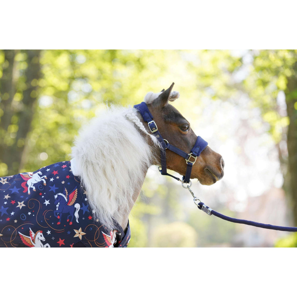 HB Derka Zewnętrzna Little Sizes navy flying horse
