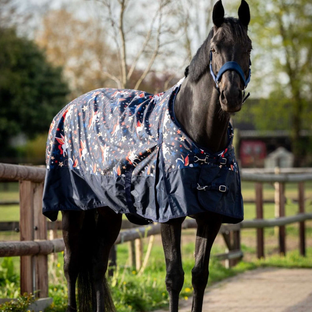 HB Derka Zewnętrzna Navy Flying Horse