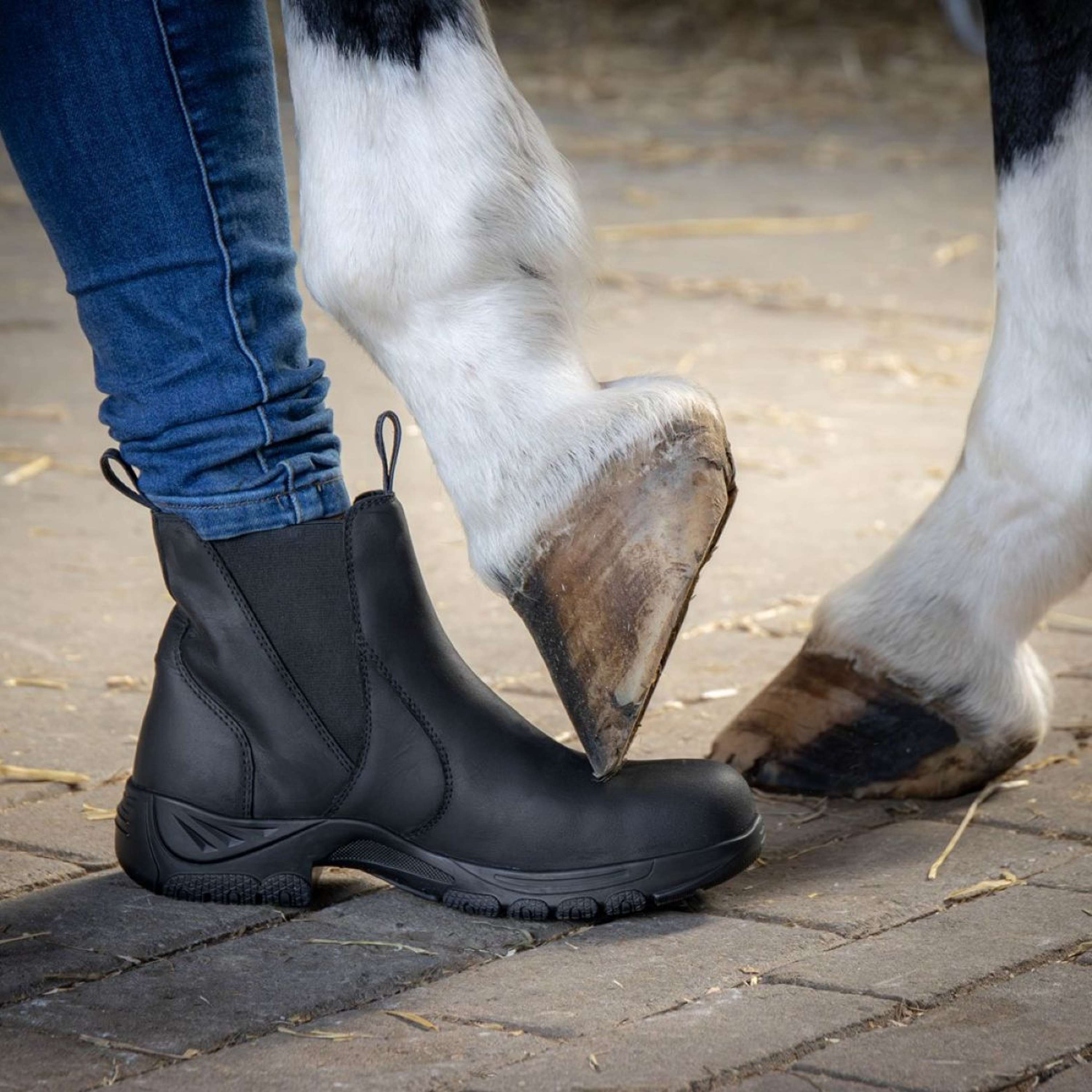 Harry's Horse Buty Stajenne Skórzane z Metalowym Noskiem Czarne