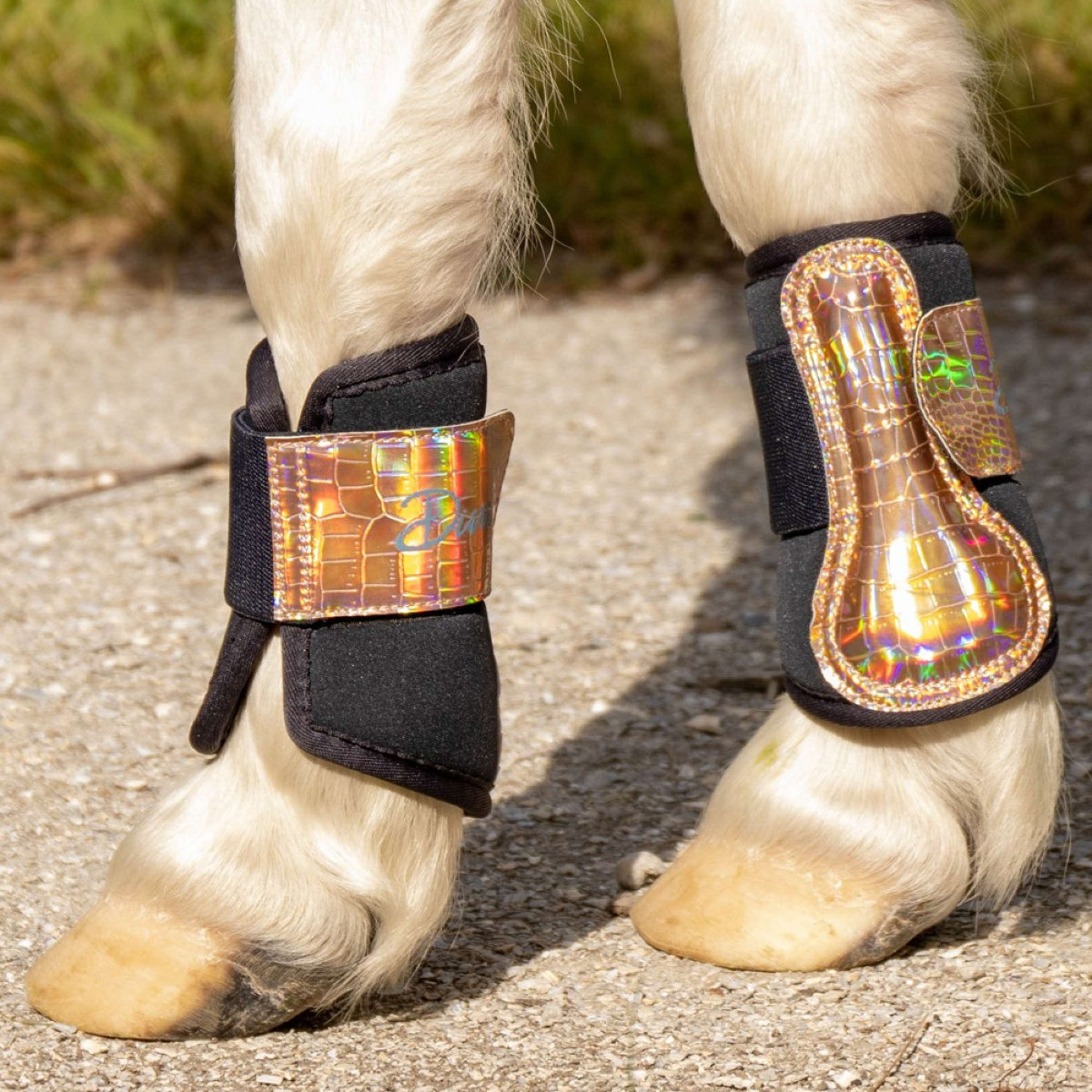 Harry's Horse Buty Ujeżdżeniowe Diva Mauvewood Mauvewood