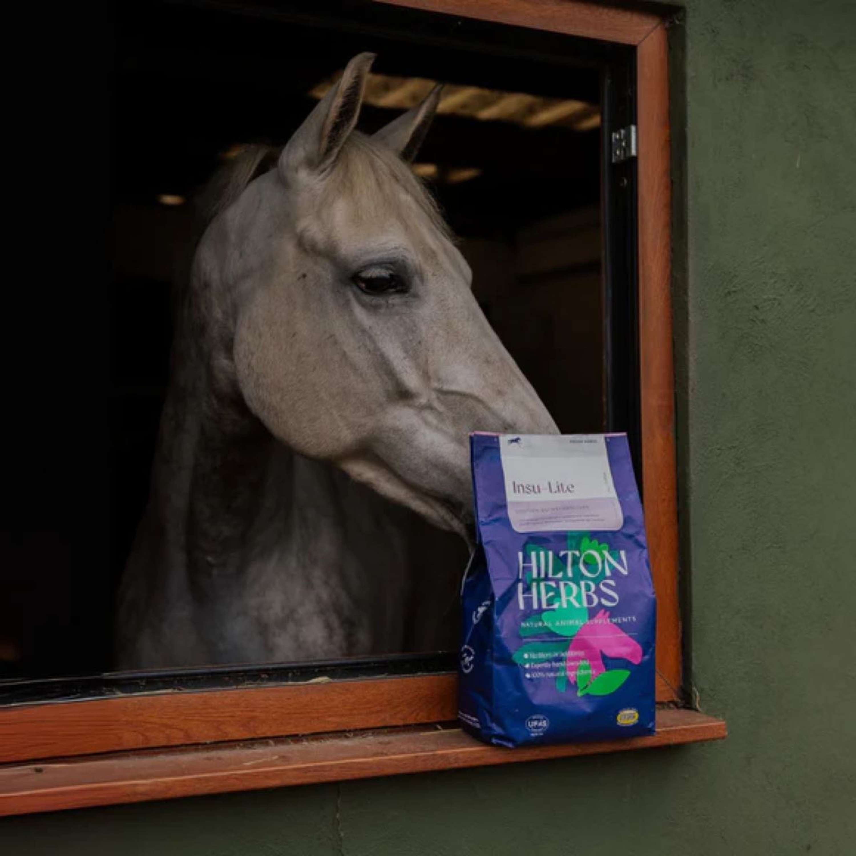 Hilton Herbs Insu Lite