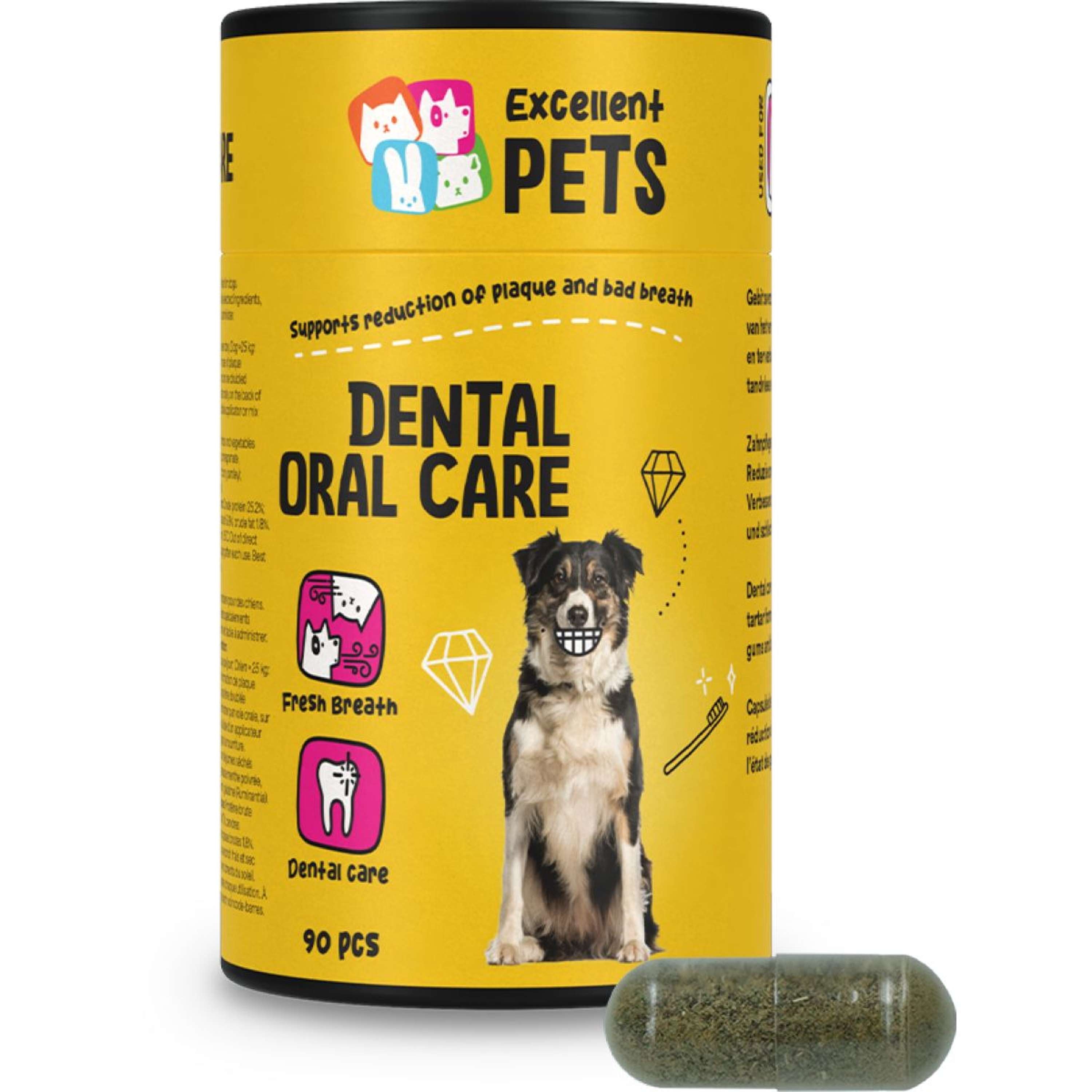 Excellent Dental Oral Care Pies & Kot