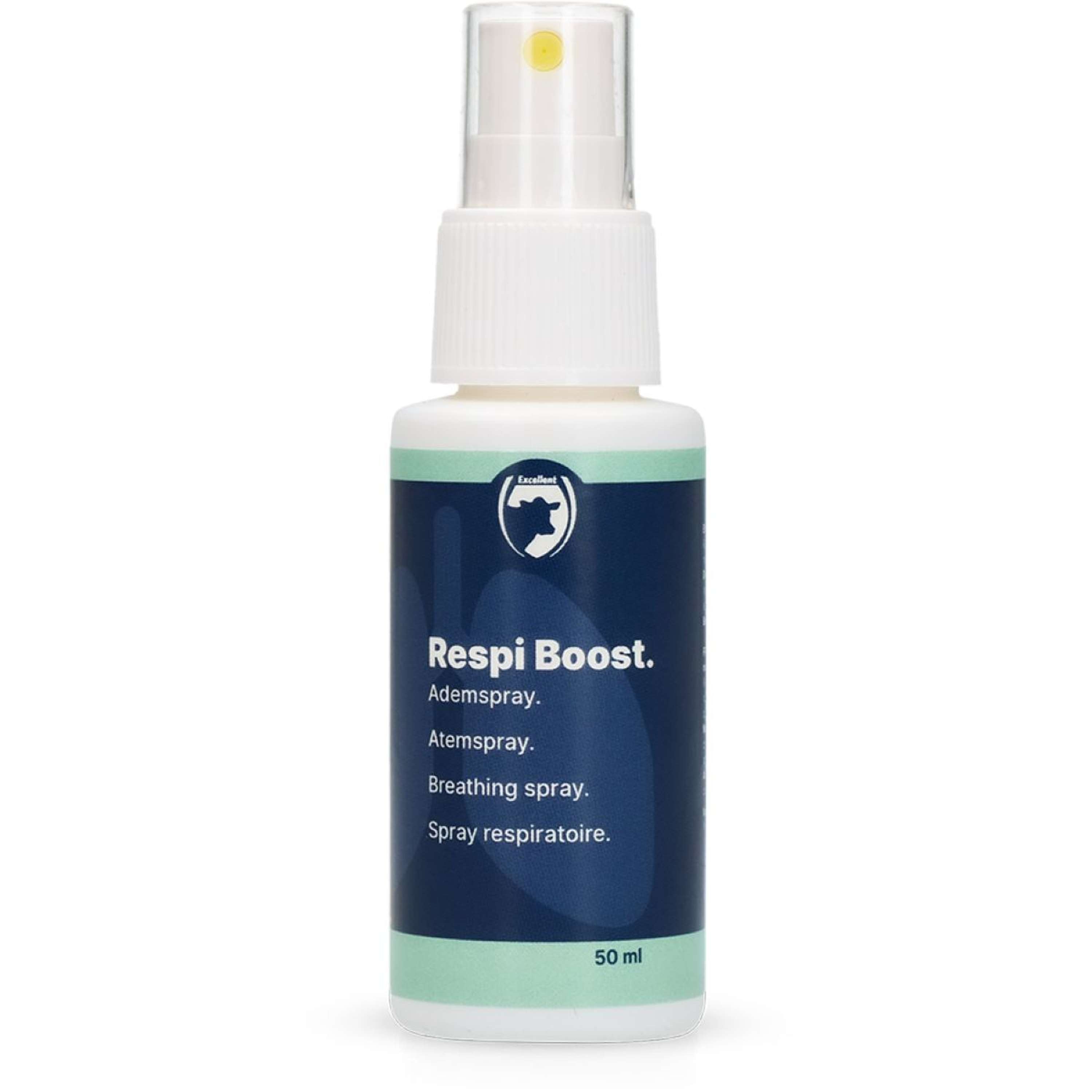 Excellent Respi Boost Spray Na Oddech