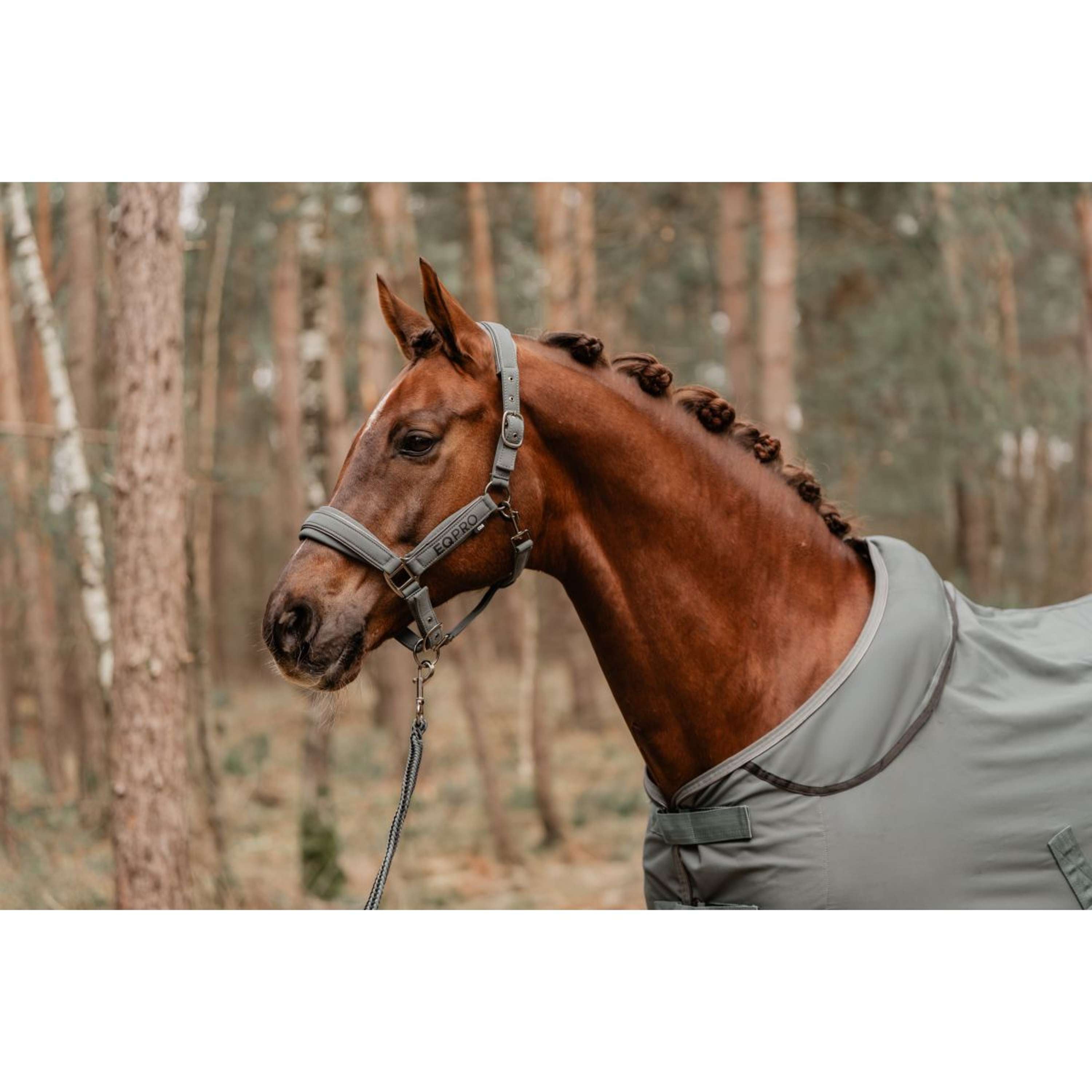 EQPRO Zestaw Kantara Softshell Shadow Steel