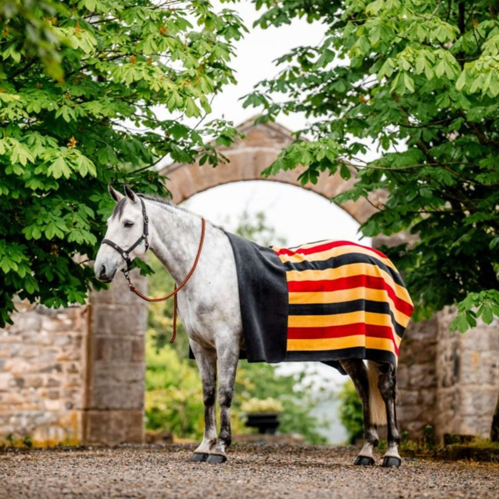 Horseware Derka Polarowa Newmarket Witney Gold