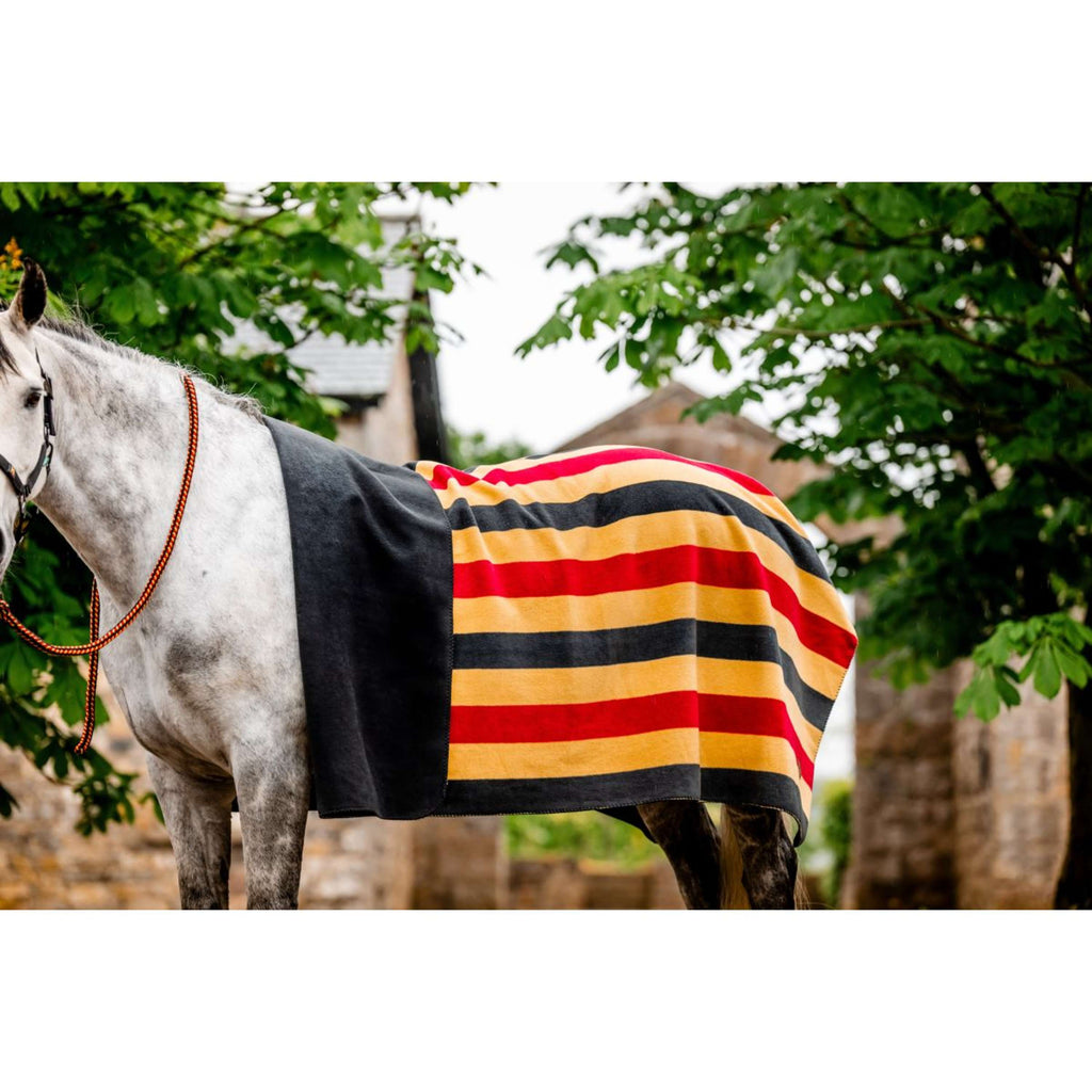 Horseware Derka Polarowa Newmarket Witney Gold