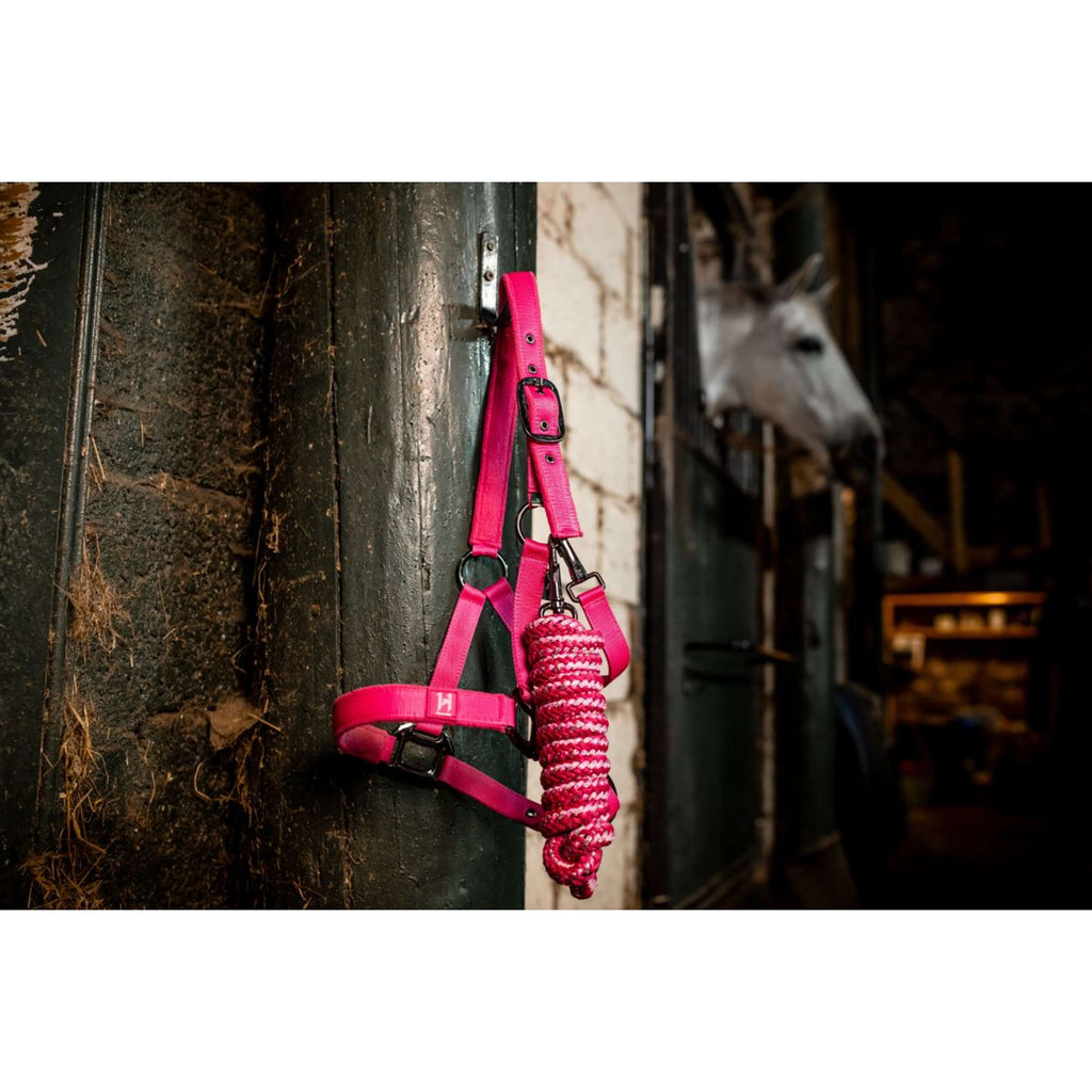 Amigo Kantar I Lina Newmarket Witney Pink