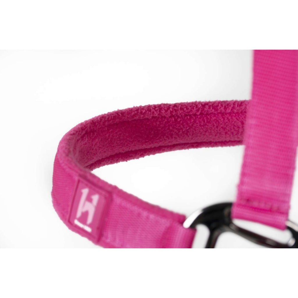 Amigo Kantar I Lina Newmarket Witney Pink