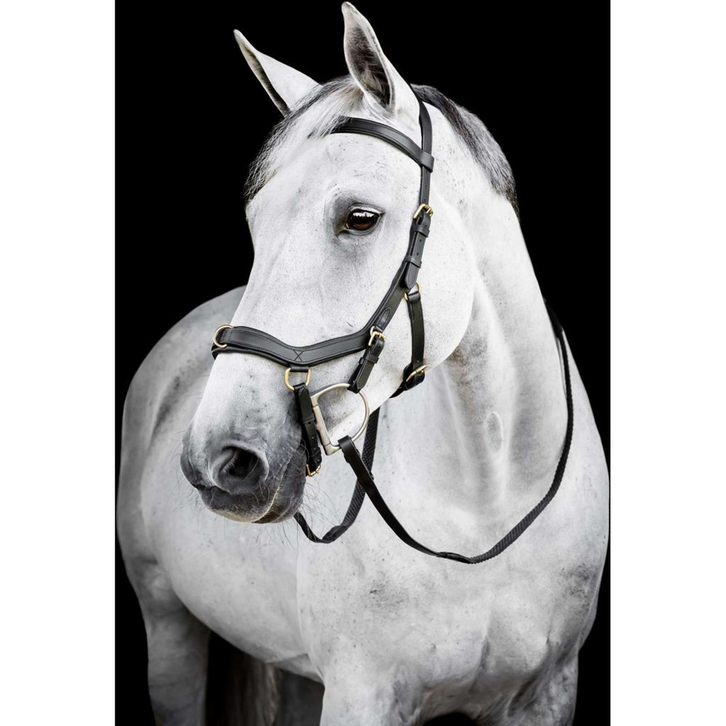 Horseware Micklem Multi Bridle Czarny
