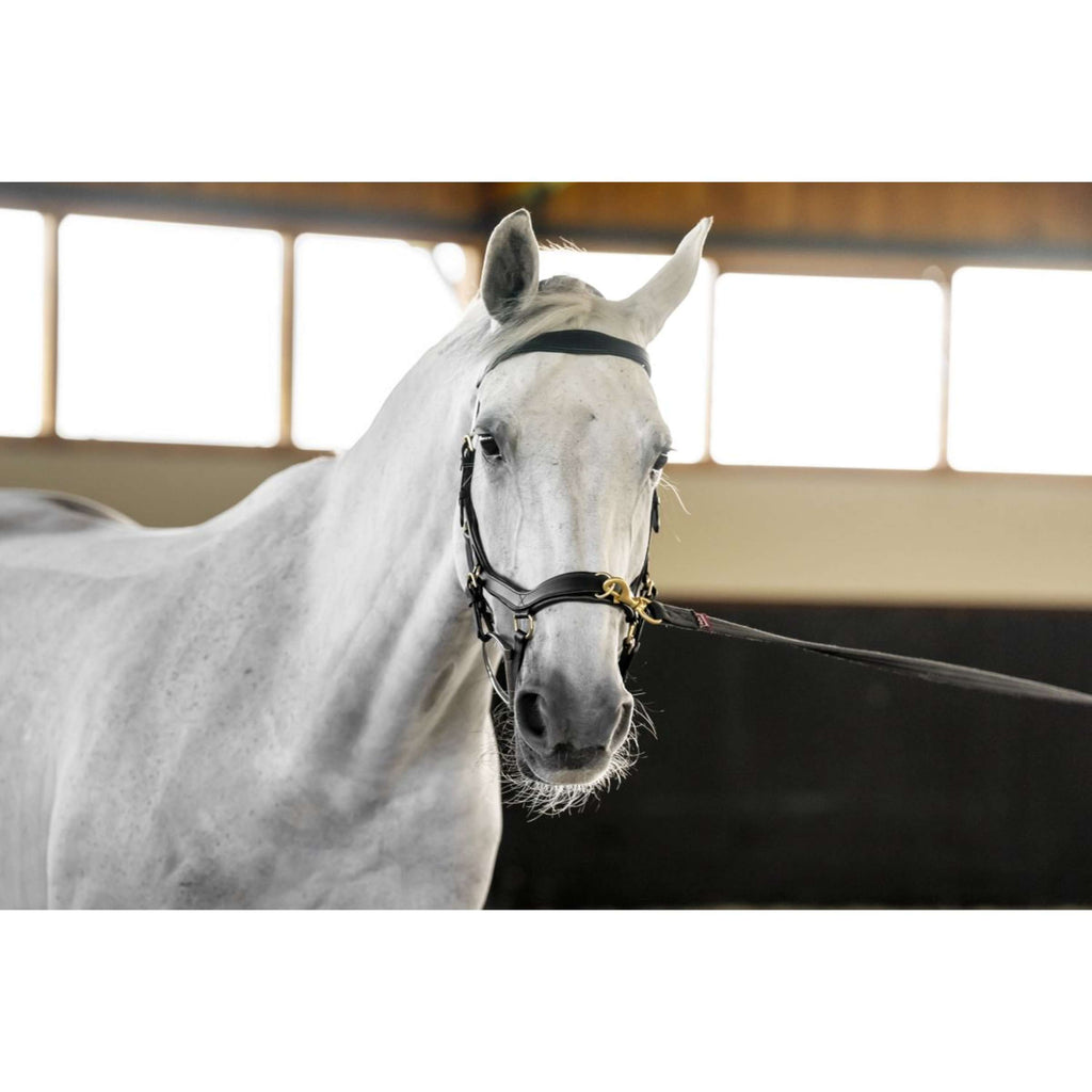 Horseware Micklem Multi Bridle Czarny