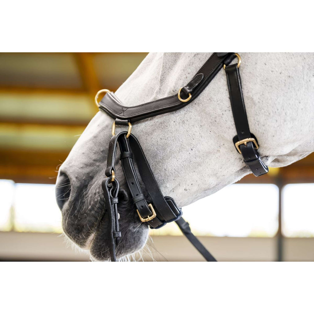 Horseware Micklem Multi Bridle Czarny