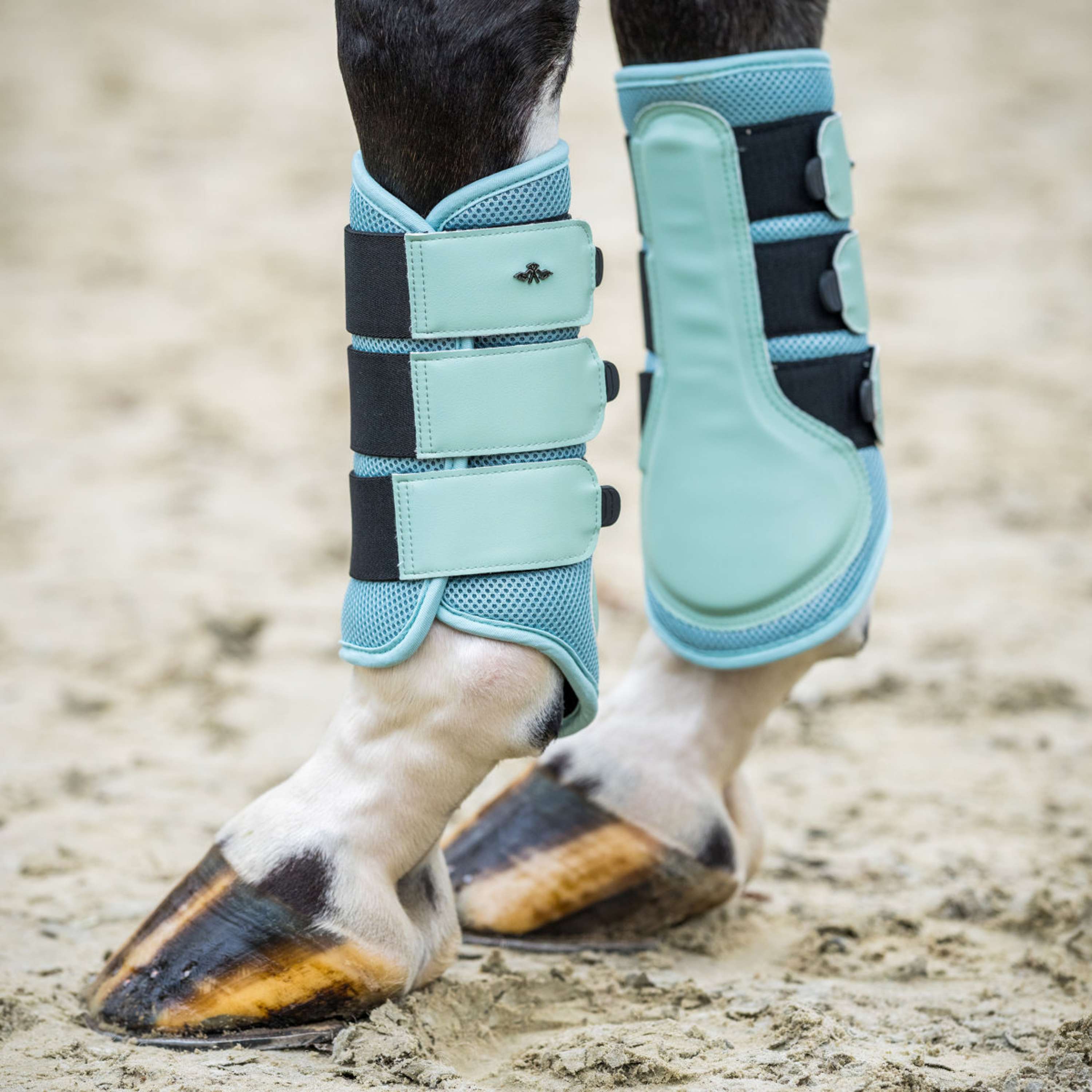 HV Polo Buty Ujeżdżeniowe HVPAir Flow Aqua Sky