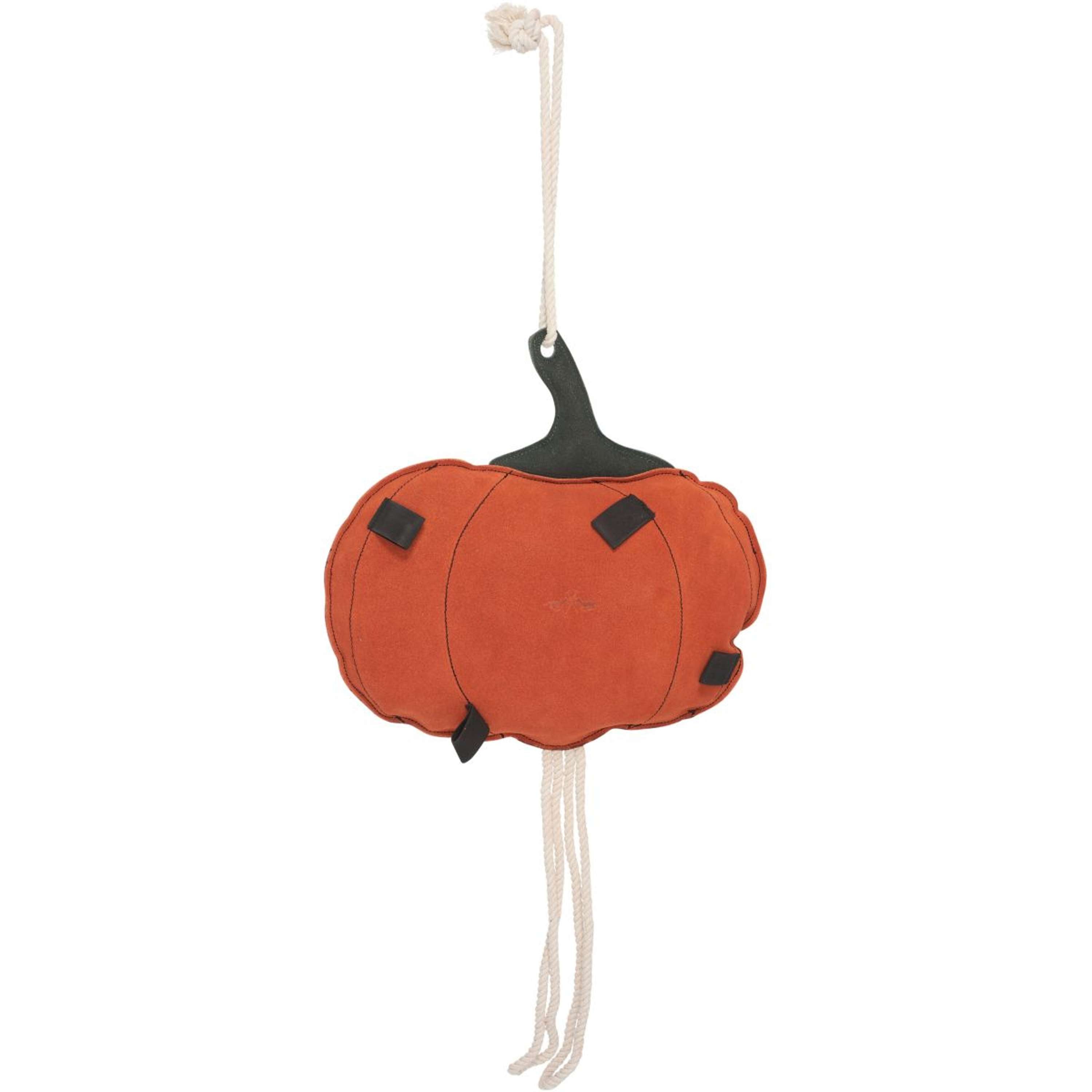 HV Polo Stable Buddy HVPPumpkin Dyniowy