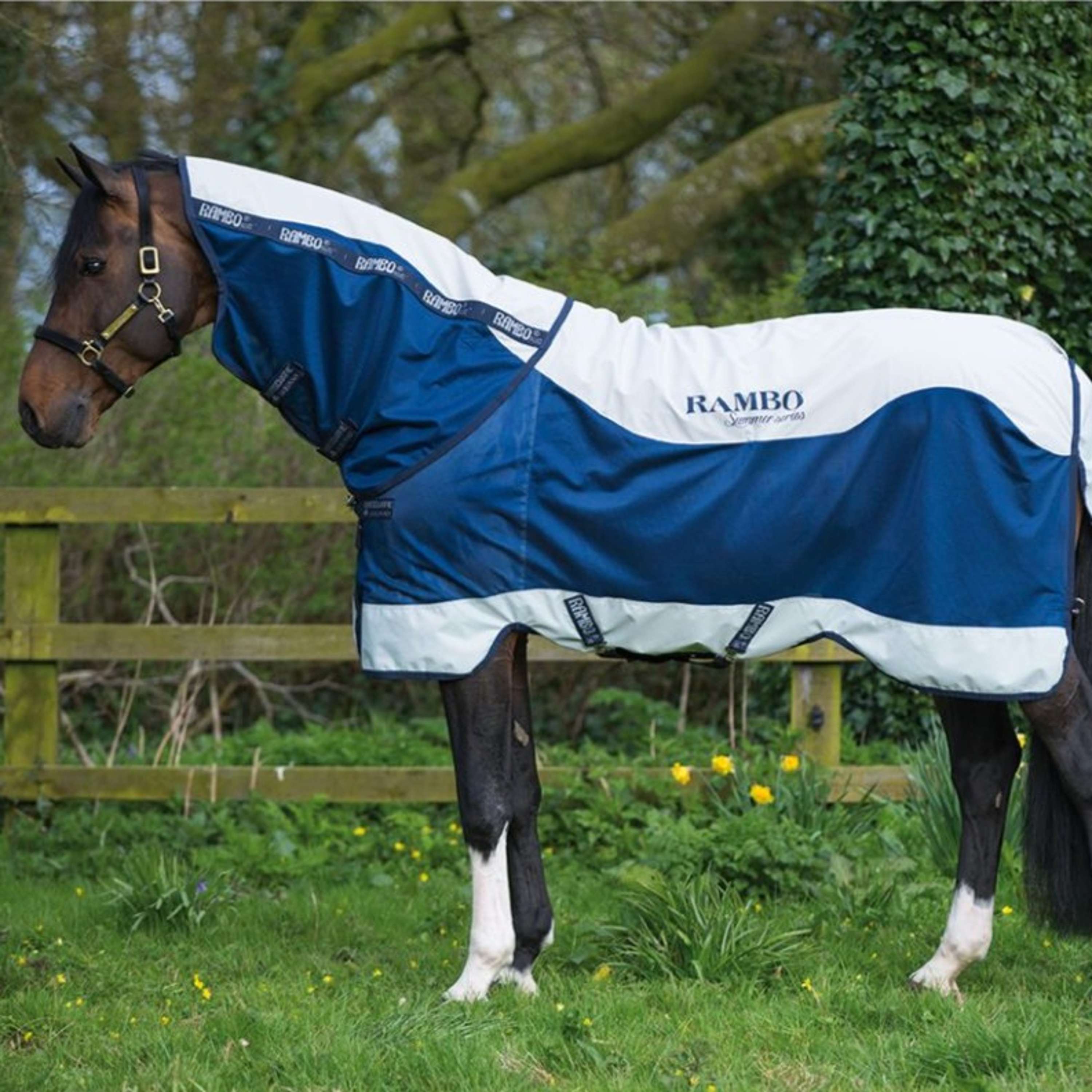Rambo Summer Series Turnout V-front Granatowy/Szary