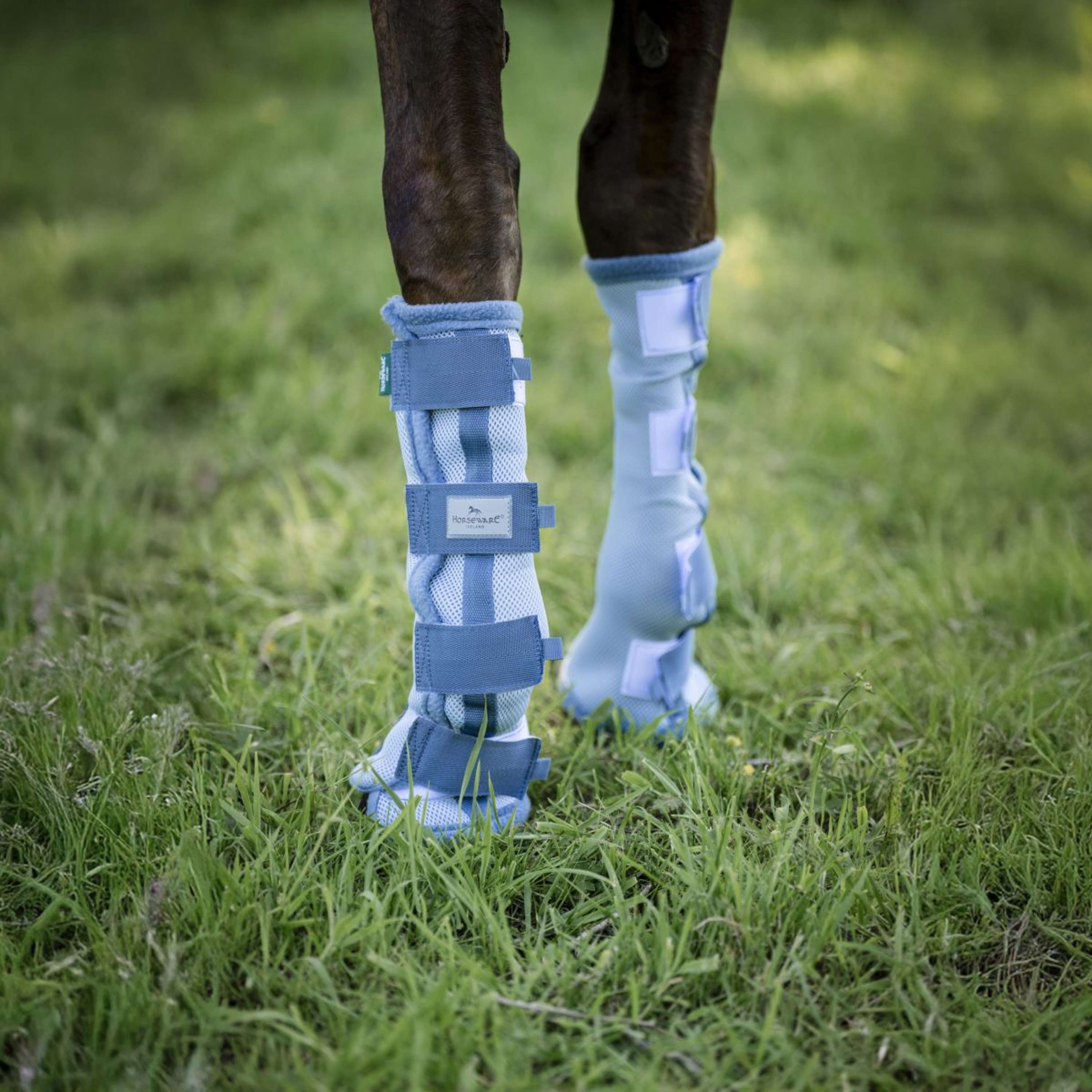 Ochraniacze na nogi Horseware Fly Boots, zestaw 2 szt., Heather Blue/Blue/Silver
