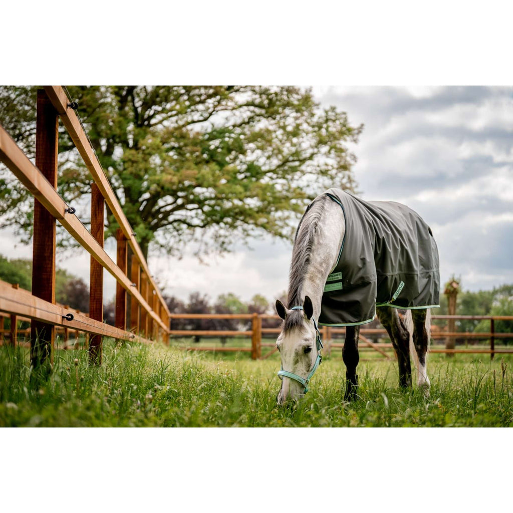 Kantar dla konia Horseware Field Safe, kolor Blue Haze