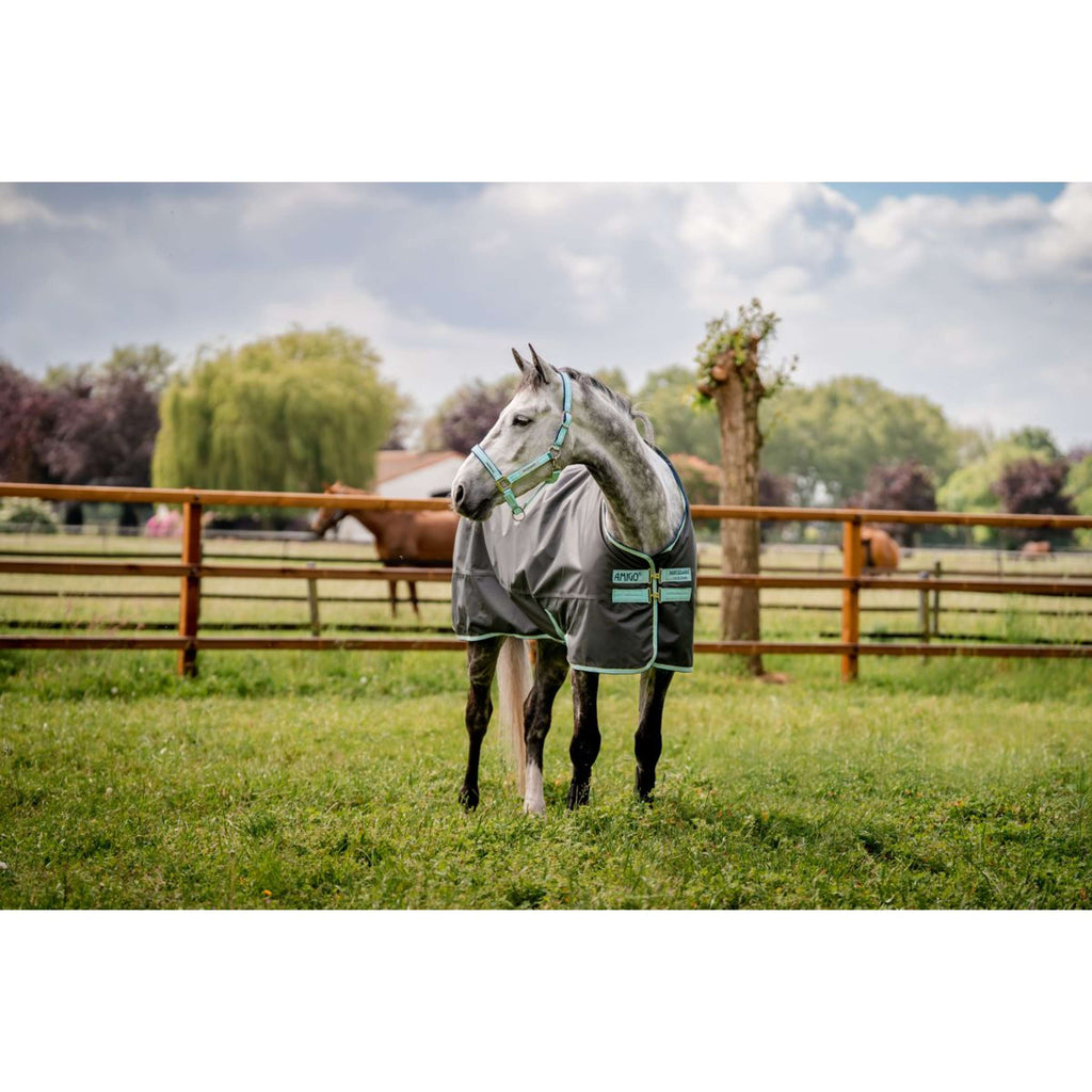 Kantar dla konia Horseware Field Safe, kolor Blue Haze