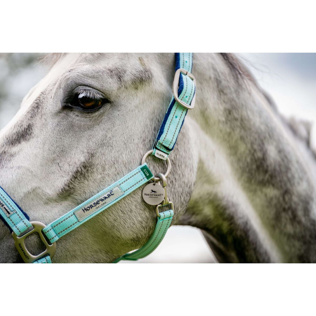 Kantar dla konia Horseware Field Safe, kolor Blue Haze