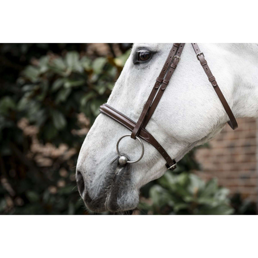 Horseware Ogłowie Cavesson Brązowy