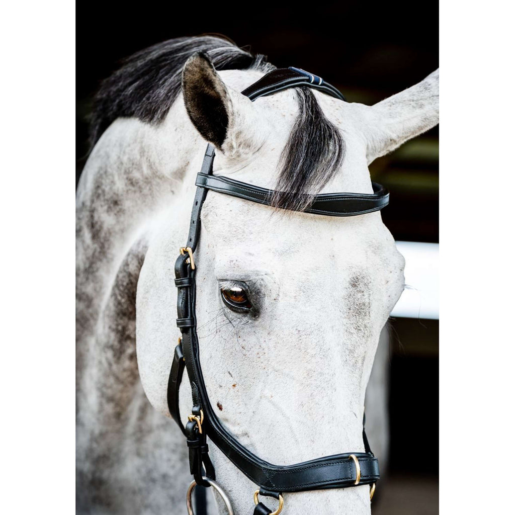 Ogłowie Horseware Micklem Multi Bridle New czarne