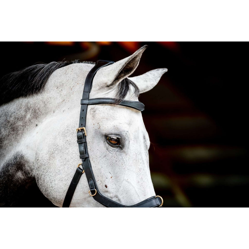 Ogłowie Horseware Micklem Multi Bridle New czarne