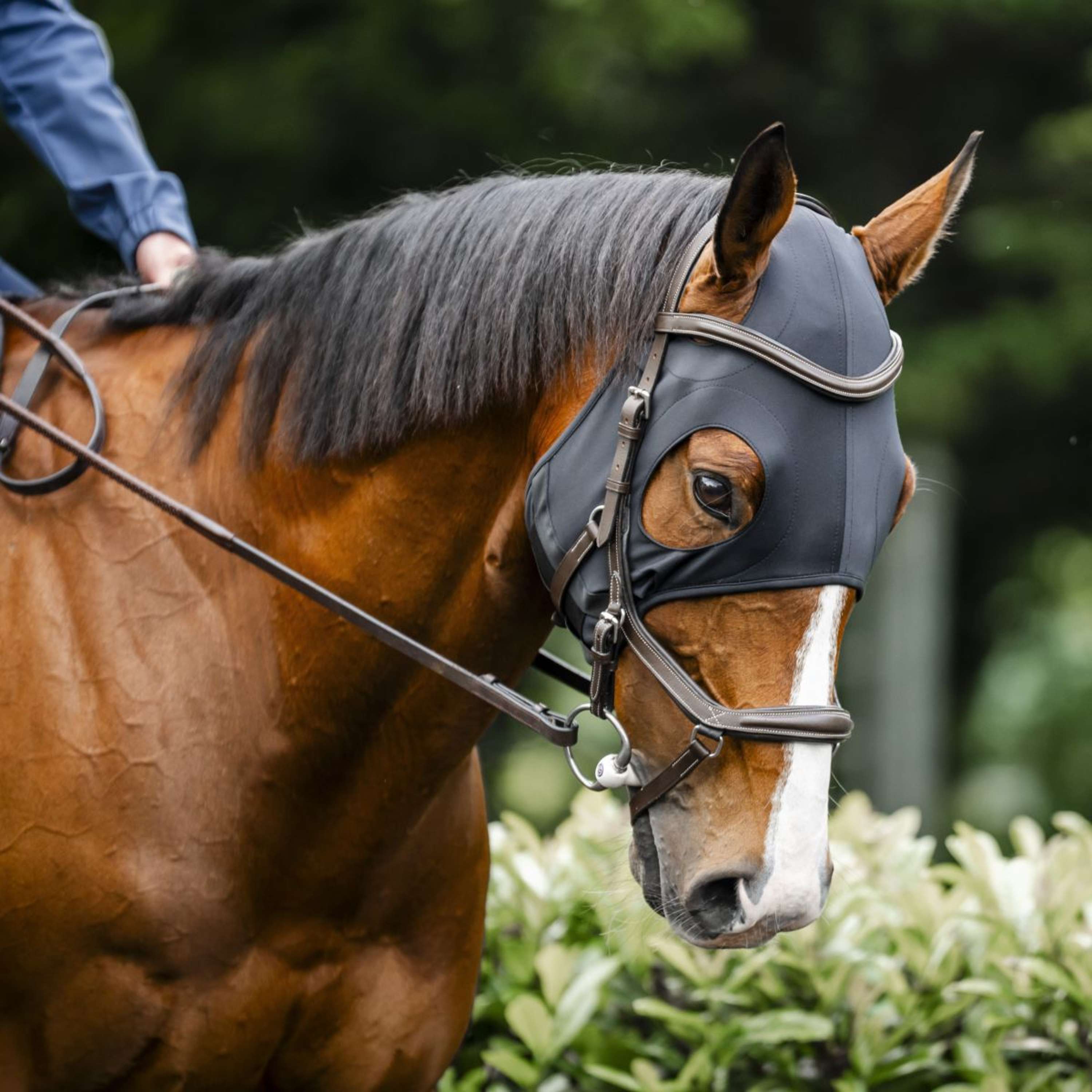 Horseware Calming Face Mask Ionic Czarny