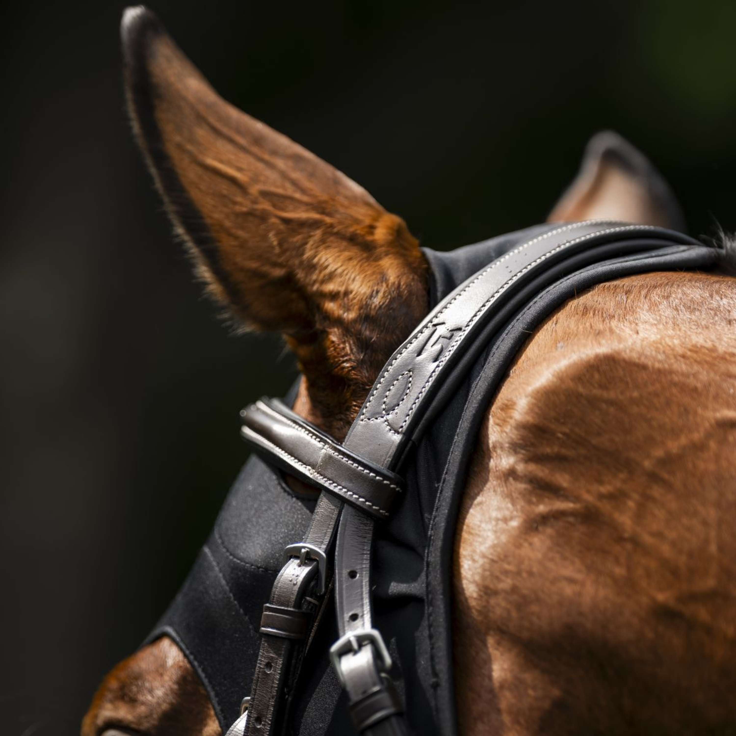 Horseware Calming Face Mask Ionic Czarny