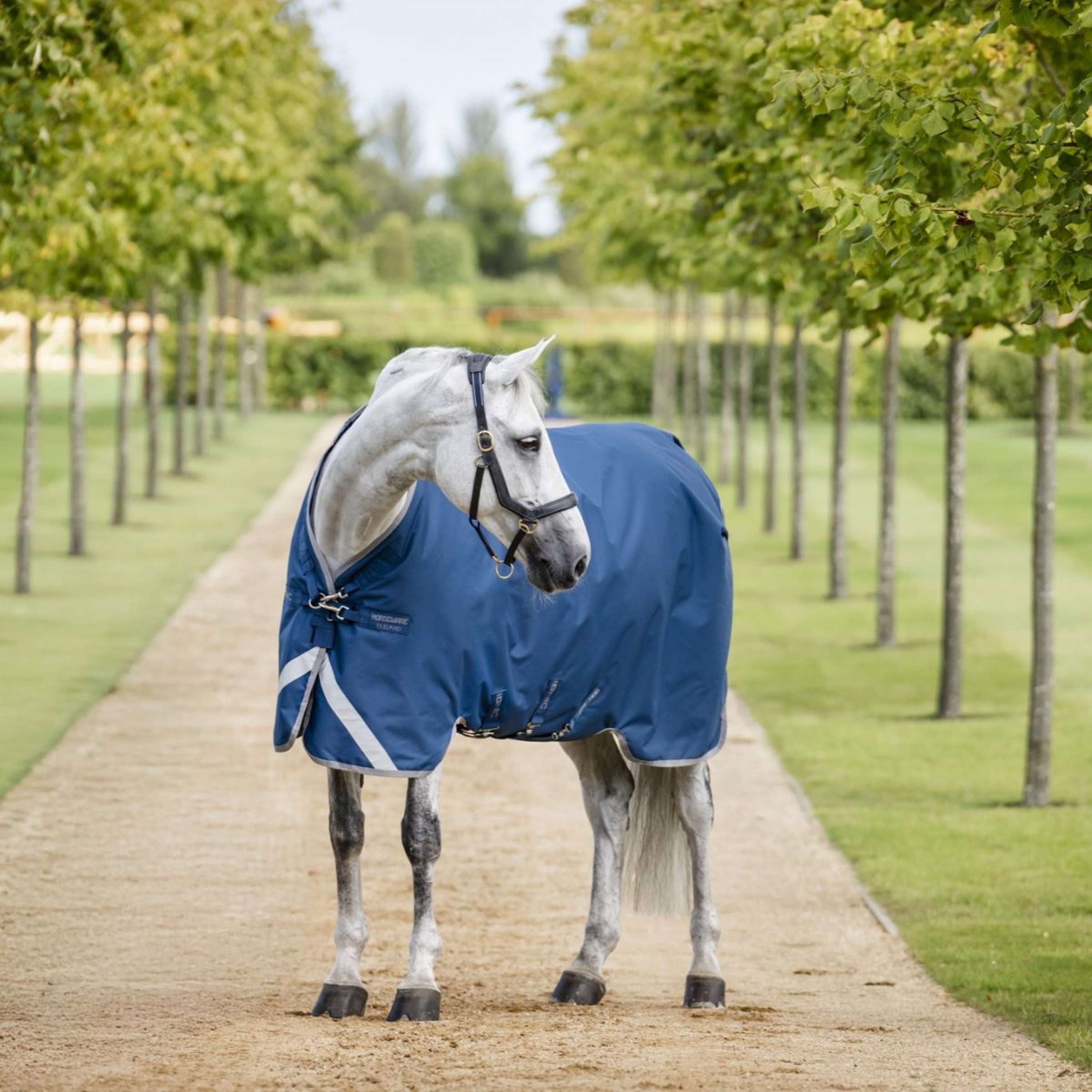 Derką Horseware Therapy Turnout Ionic 100g Imperial Blue/Silver/Navy
