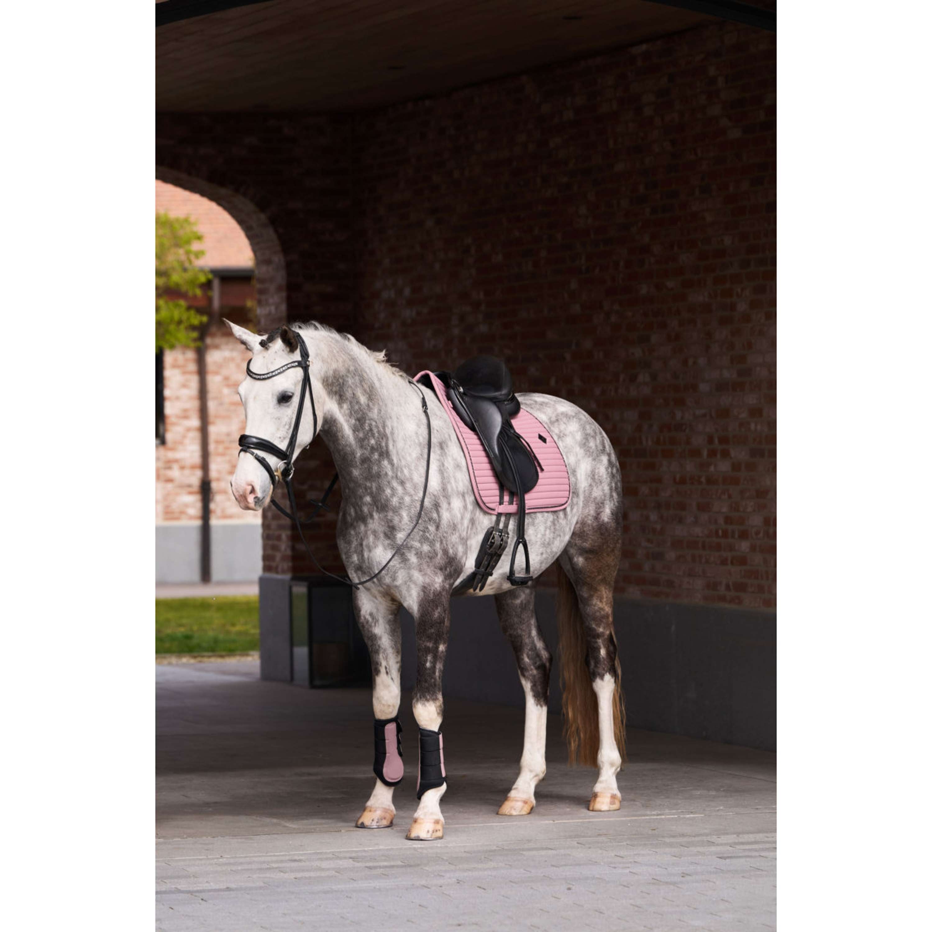 Imperial Riding Buty ujeżdżeniowe IRHCloud Dancer Mauve