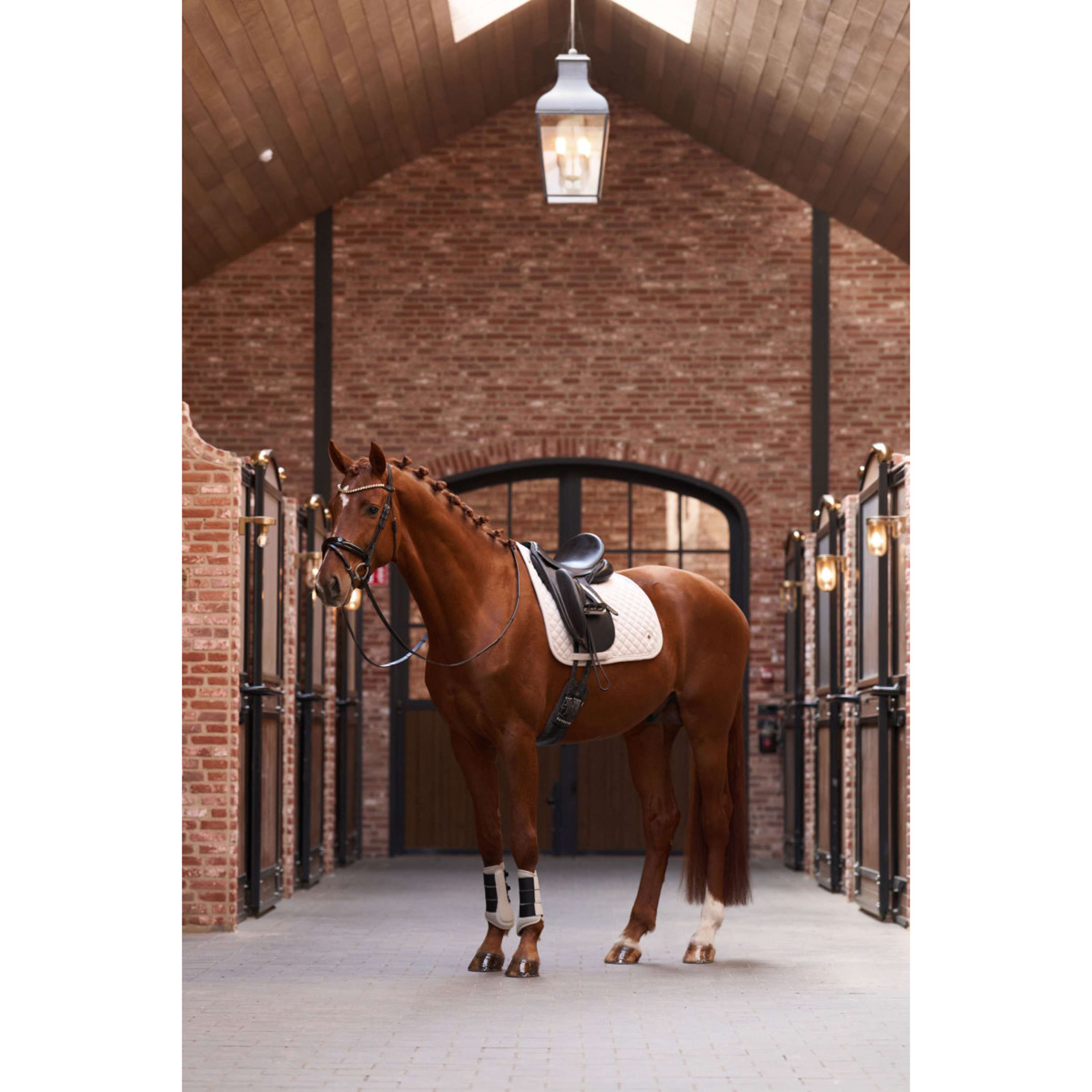 Imperial Riding Buty Ujeżdżeniowe IRHCloud Dancer Taupe