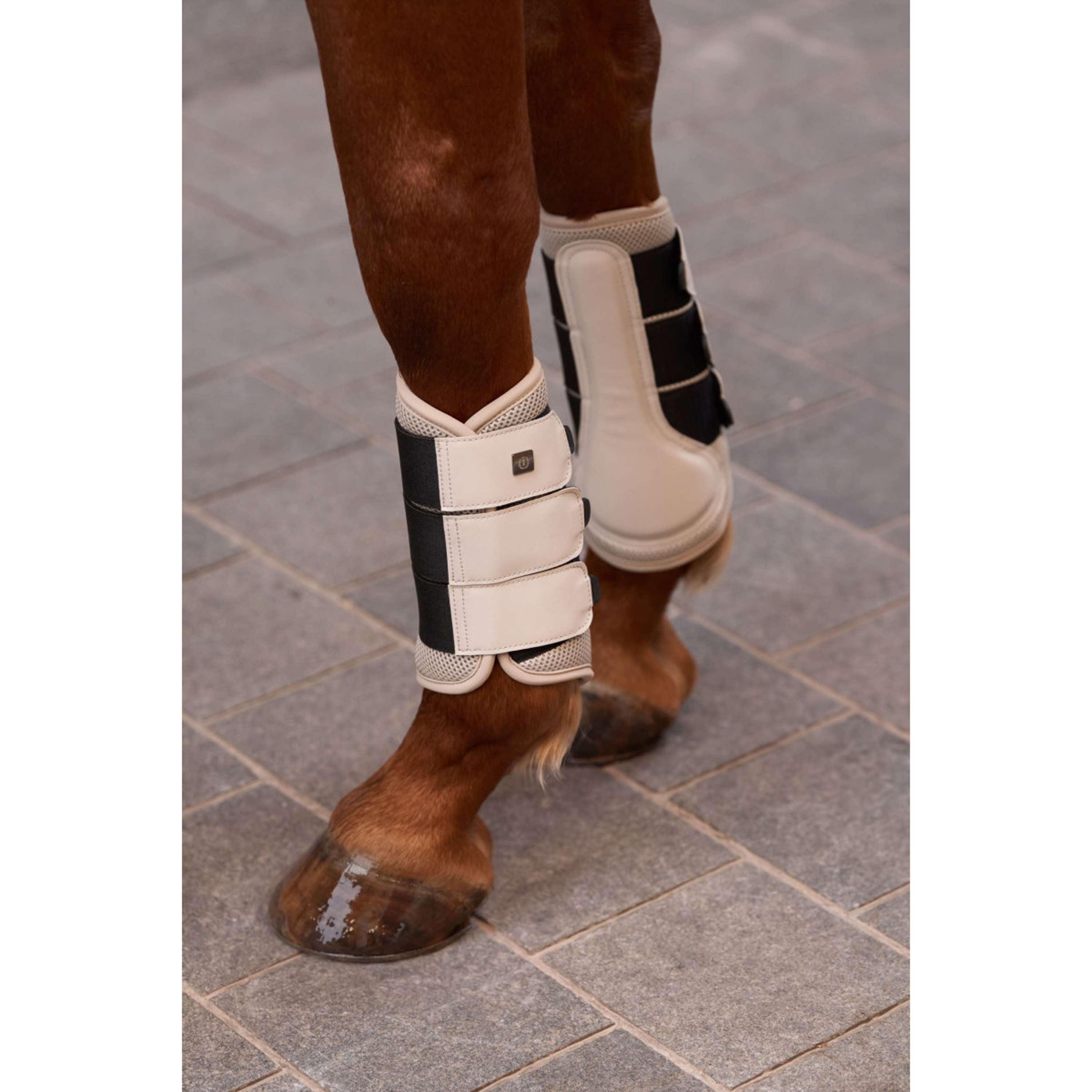Imperial Riding Buty Ujeżdżeniowe IRHCloud Dancer Taupe