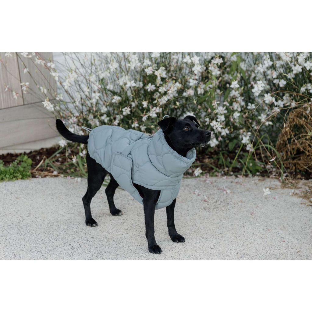 Kentucky Derka Dla Psa Winter Pina 160g Dusty Blue