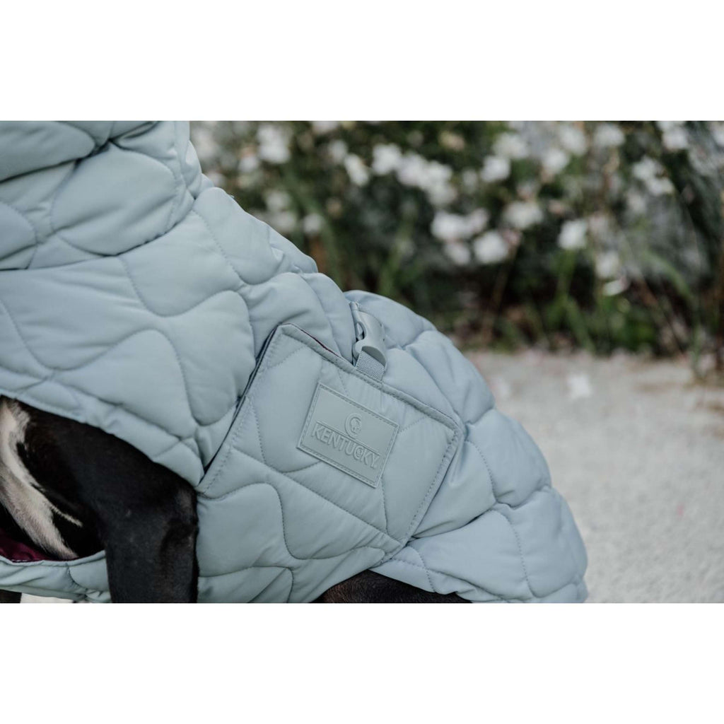 Kentucky Derka Dla Psa Winter Pina 160g Dusty Blue