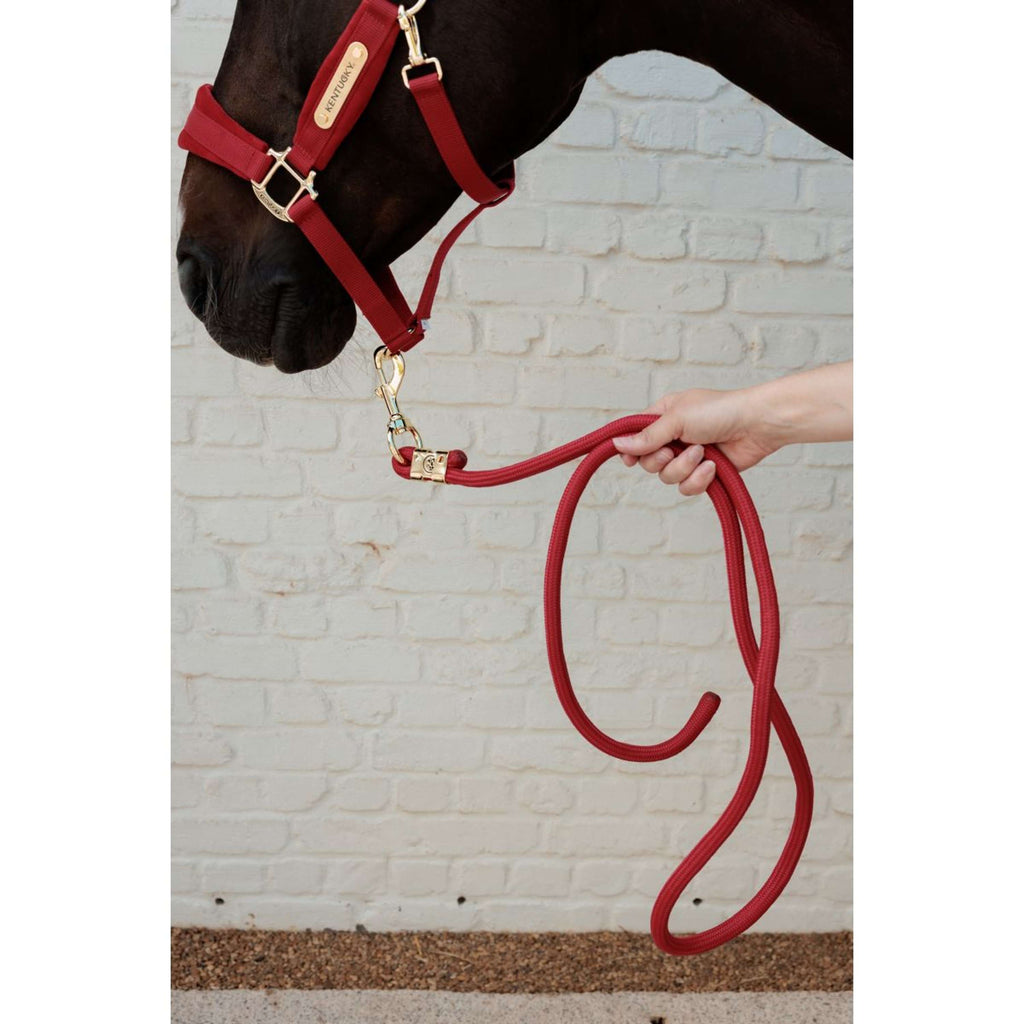 Kentucky Lina Do Prowadzenia Basic Czerwony