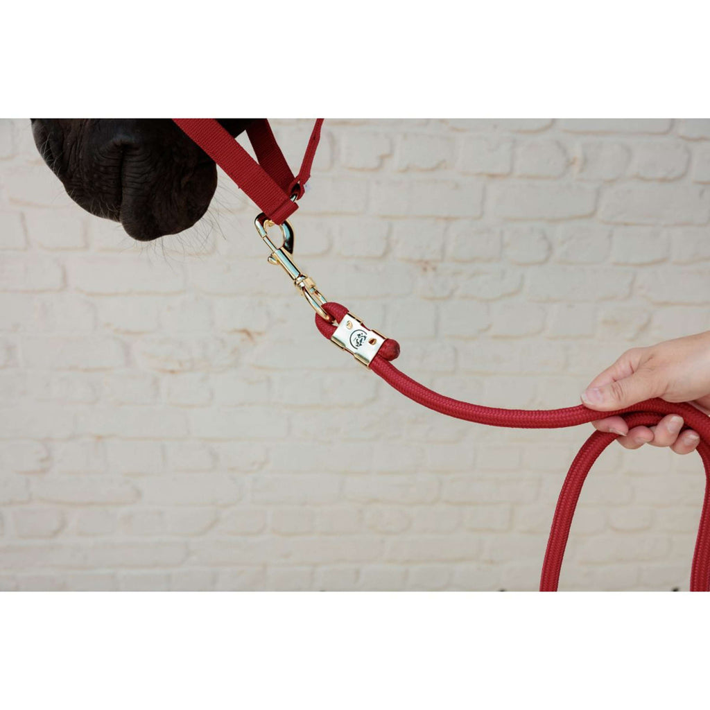 Kentucky Lina Do Prowadzenia Basic Czerwony